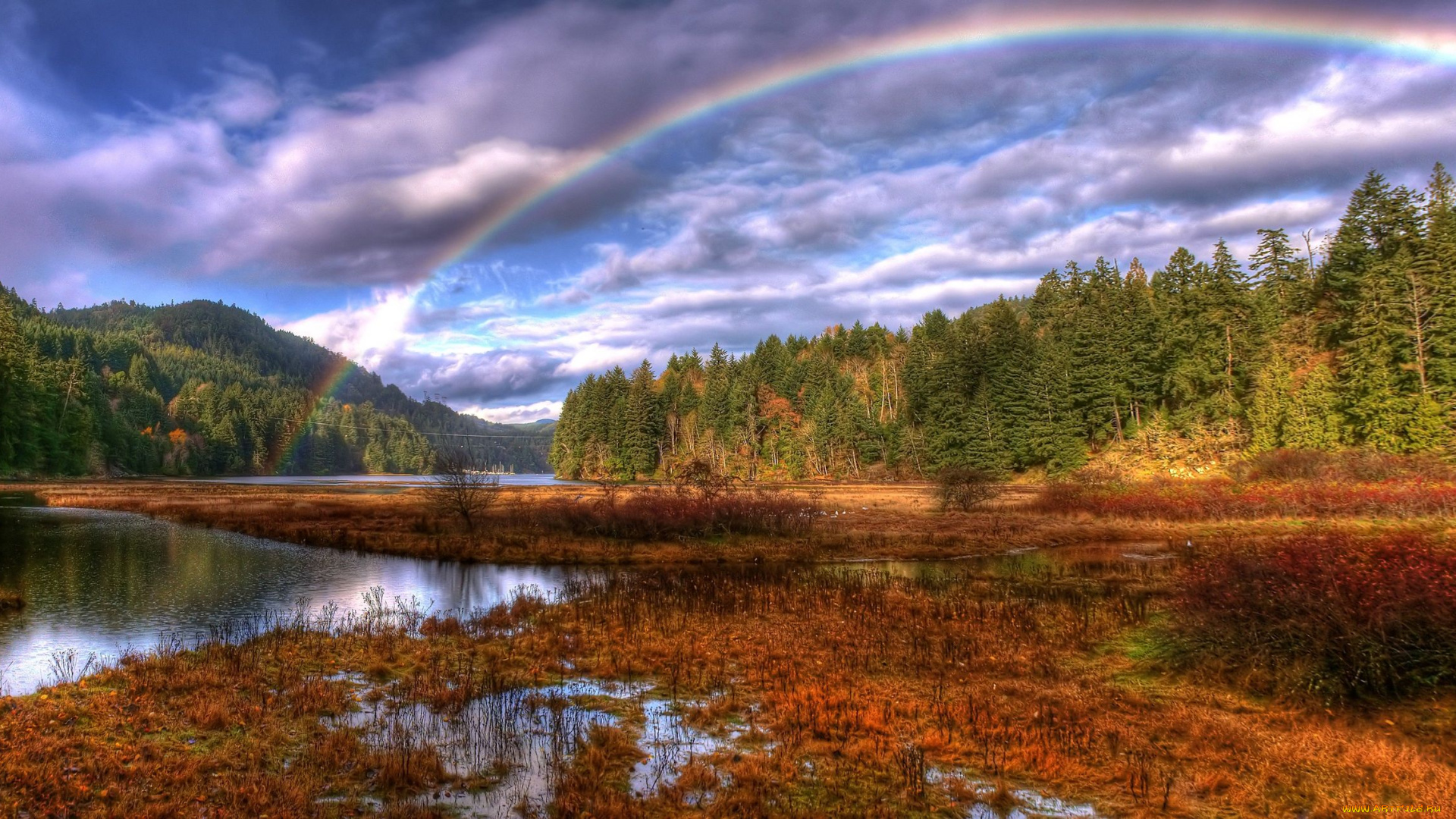 goldstream, park, outside, of, victoria, природа, радуга, rainbow