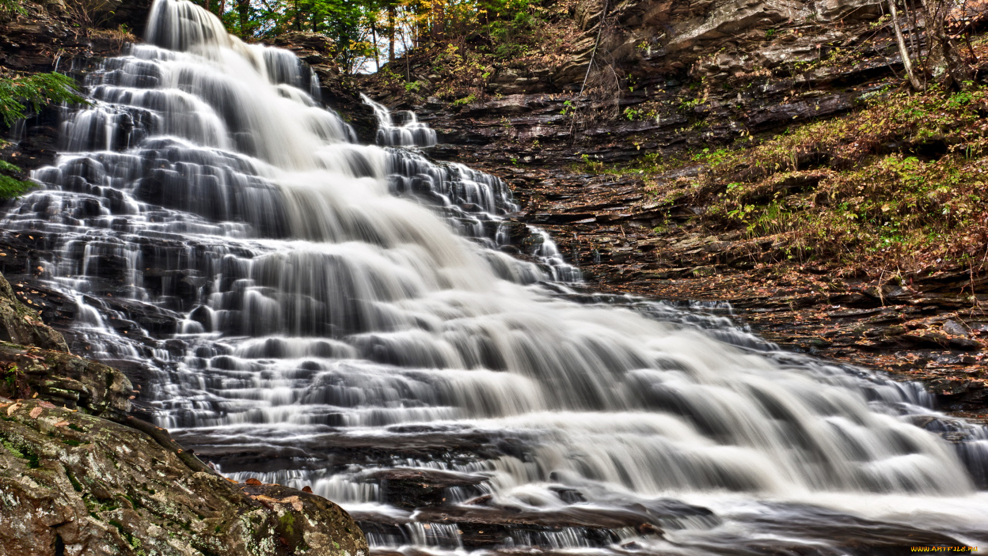 природа, водопады, ricketts, glen, state, park, pennsylvania