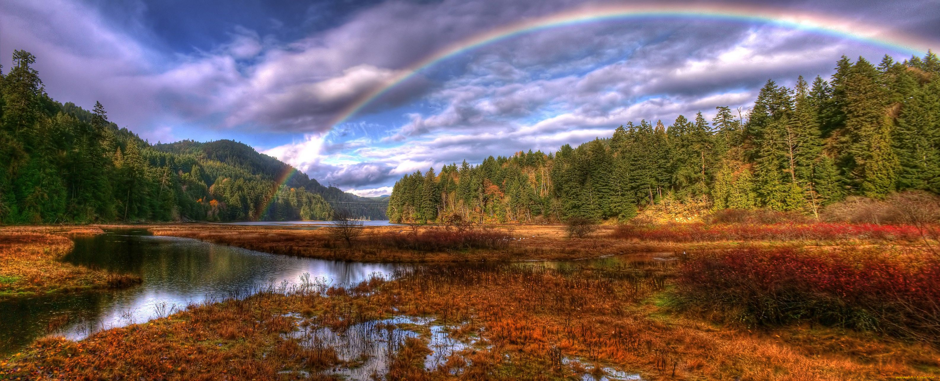 goldstream, park, outside, of, victoria, природа, радуга, rainbow