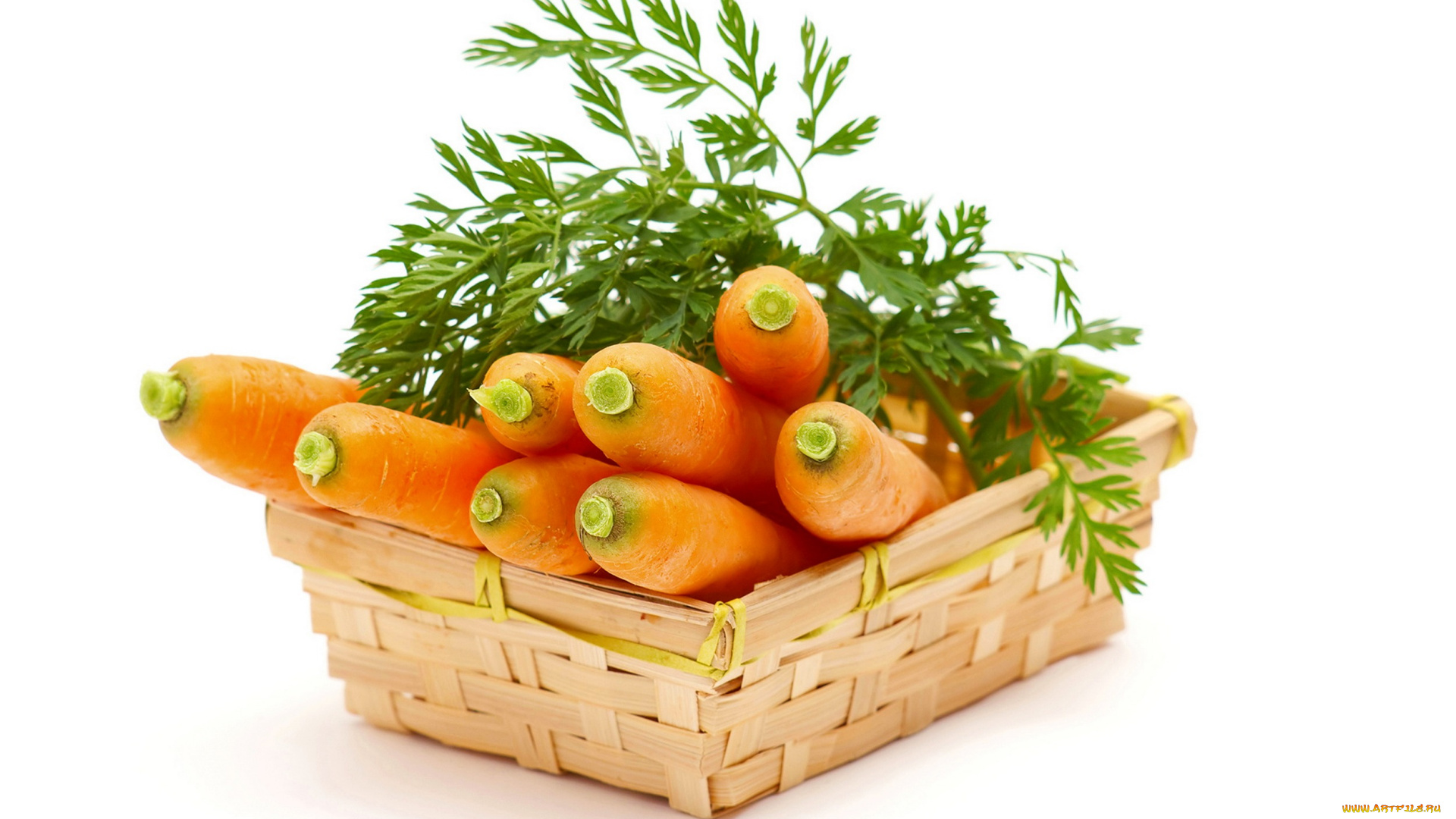 еда, морковь, зелень
