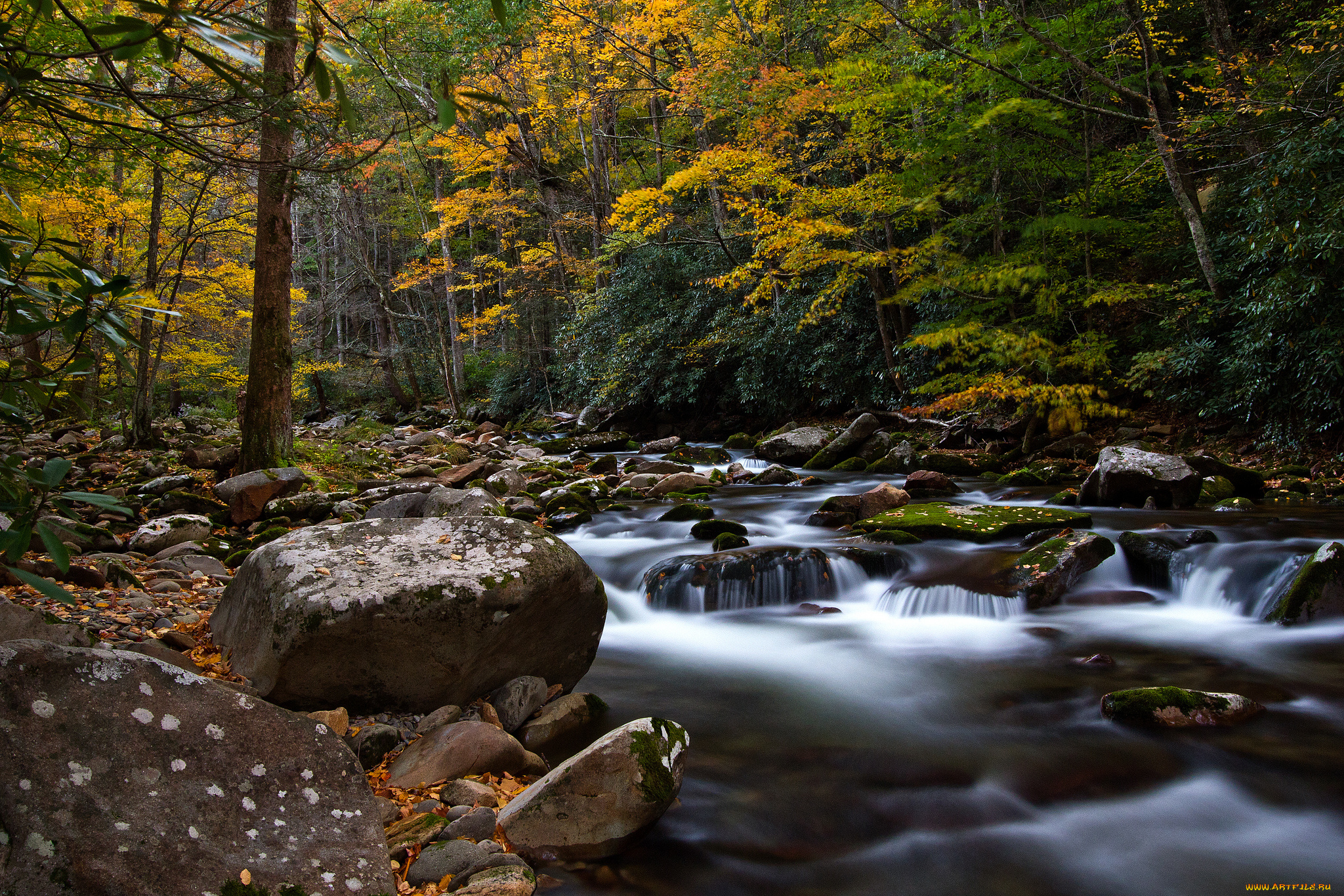 big, creek, природа, реки, озера, осень, камни, река, лес, краски