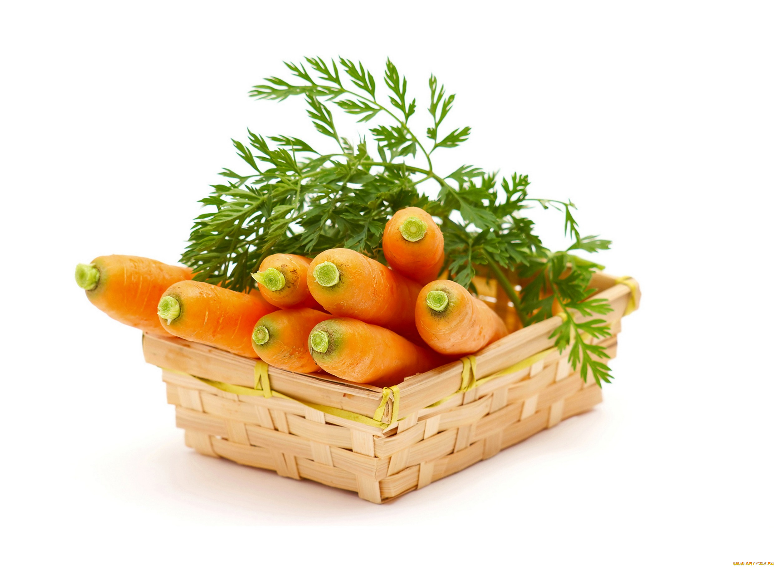 еда, морковь, зелень