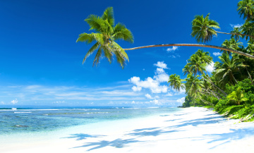 Картинка природа тропики солнце море берег остров океан пляж песок
