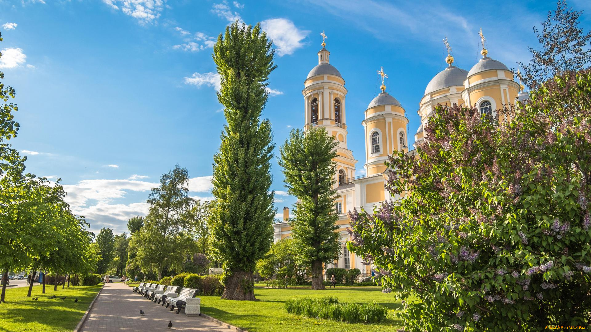 города, -, православные, церкви, , монастыри, the, prince, st, vladimir, s, cathedral, saint-petersburg