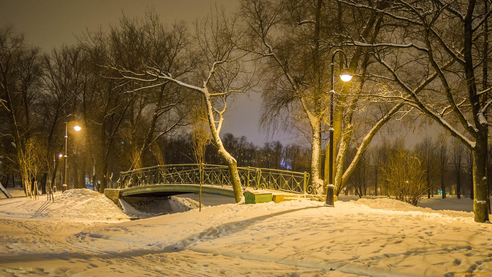 природа, парк, мост, в, московском, парке, победы