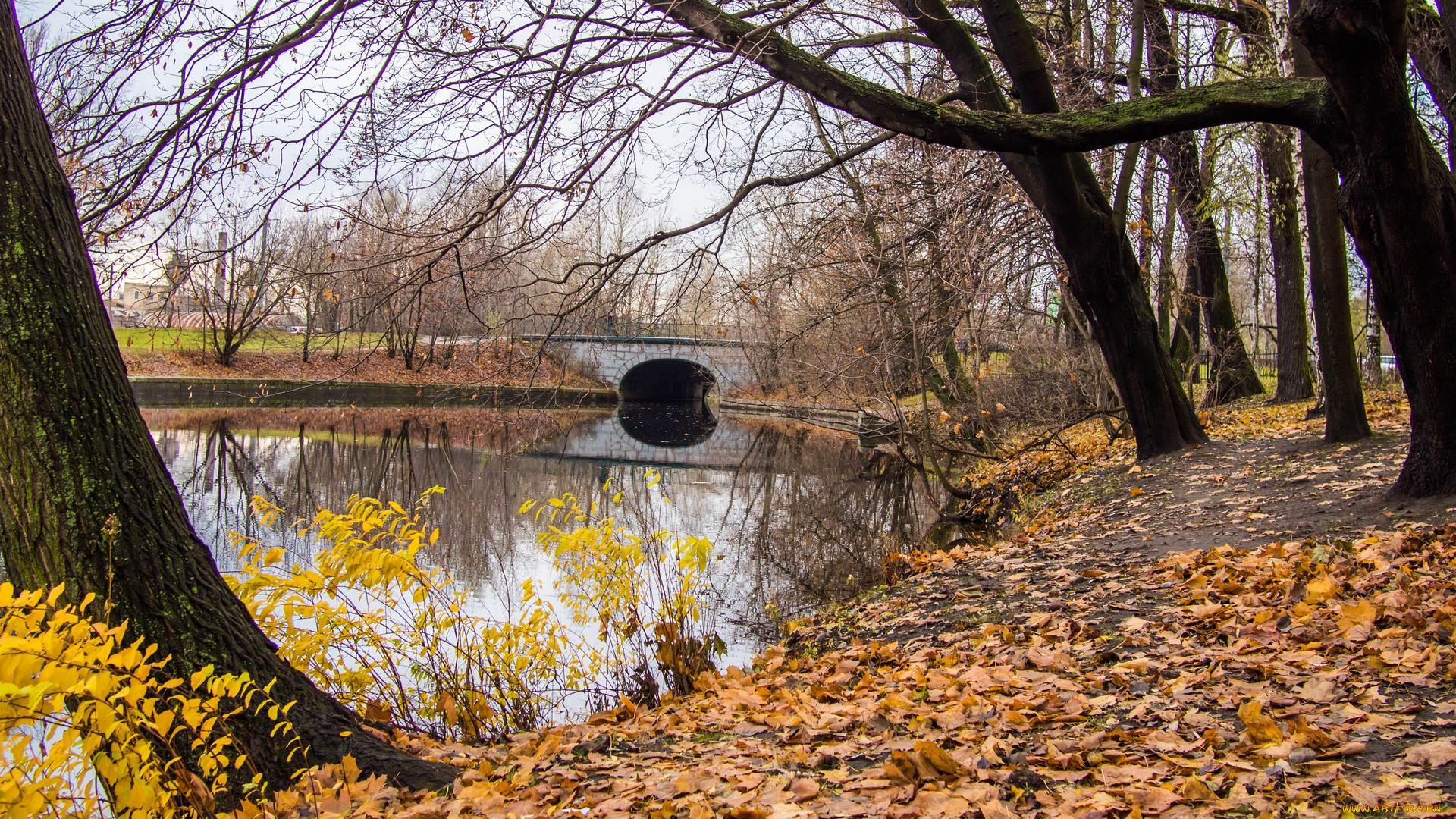 природа, парк, saint-petersburg, ekateringofka, river