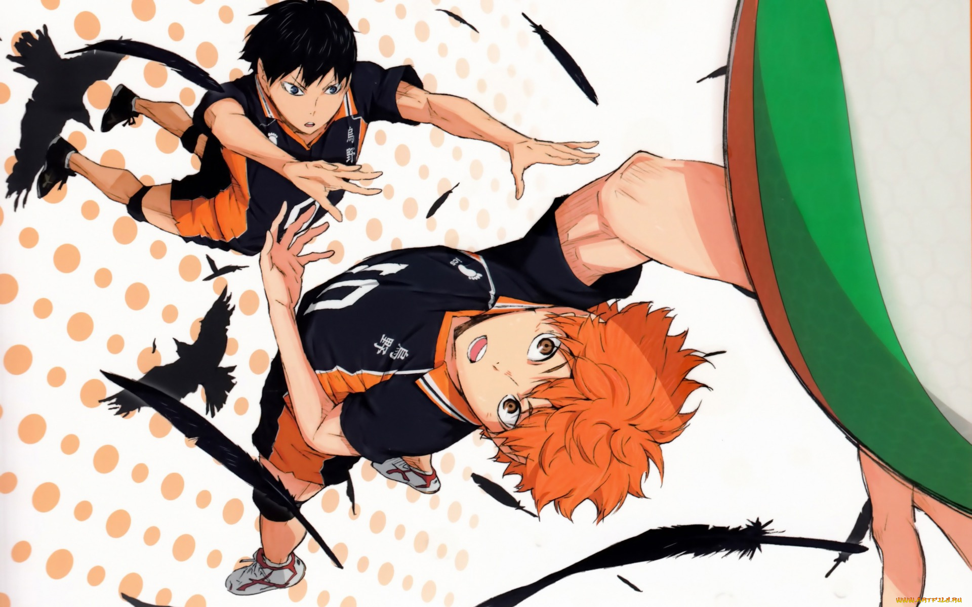 аниме, haikyuu, art, парни, рыжий, спортивная, форма, подача, мяч, tobio, kageyama, вороны, перья, shouyou, hinata, haruichi, furudate