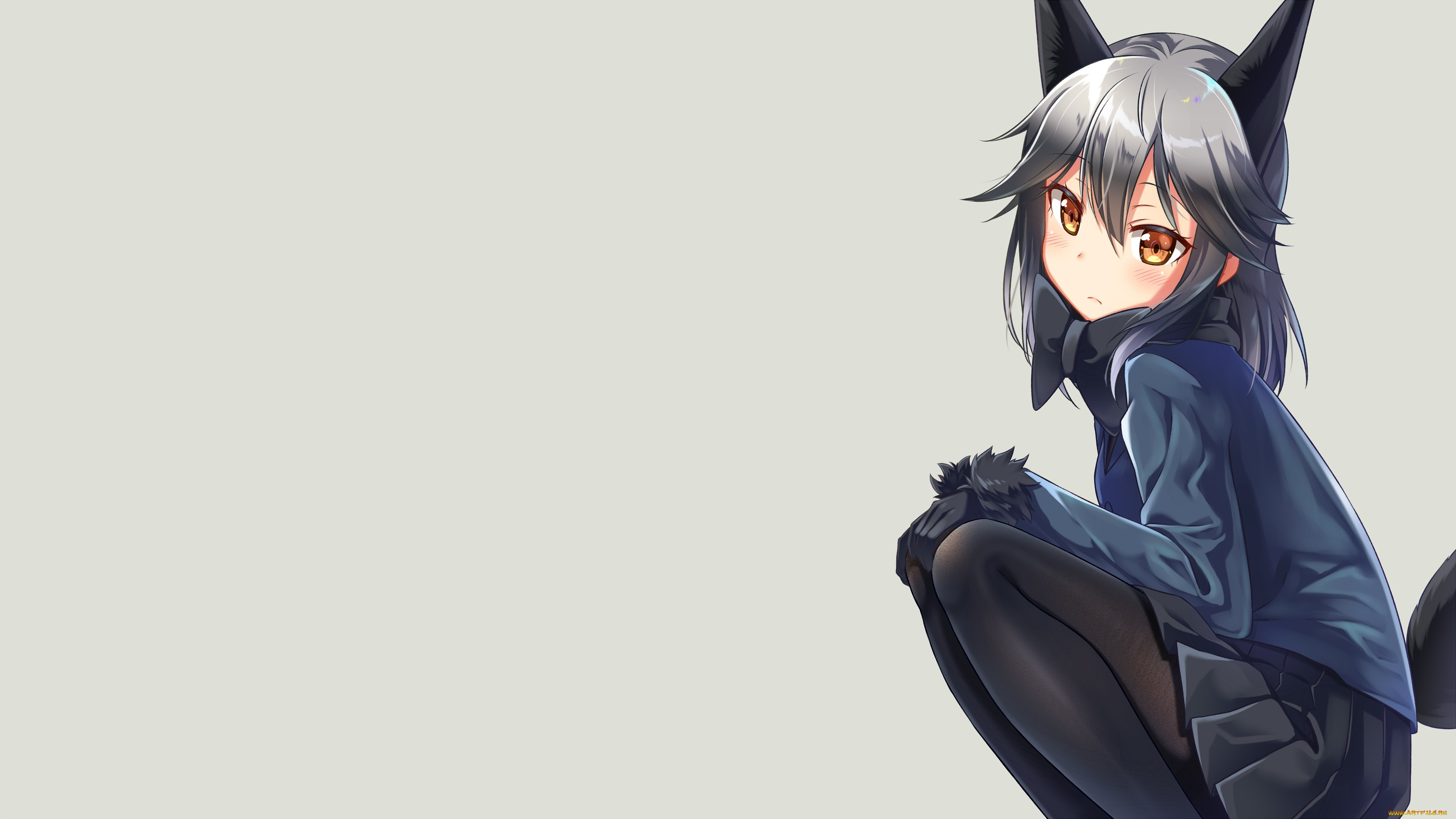 аниме, kemono, friends, silver, fox