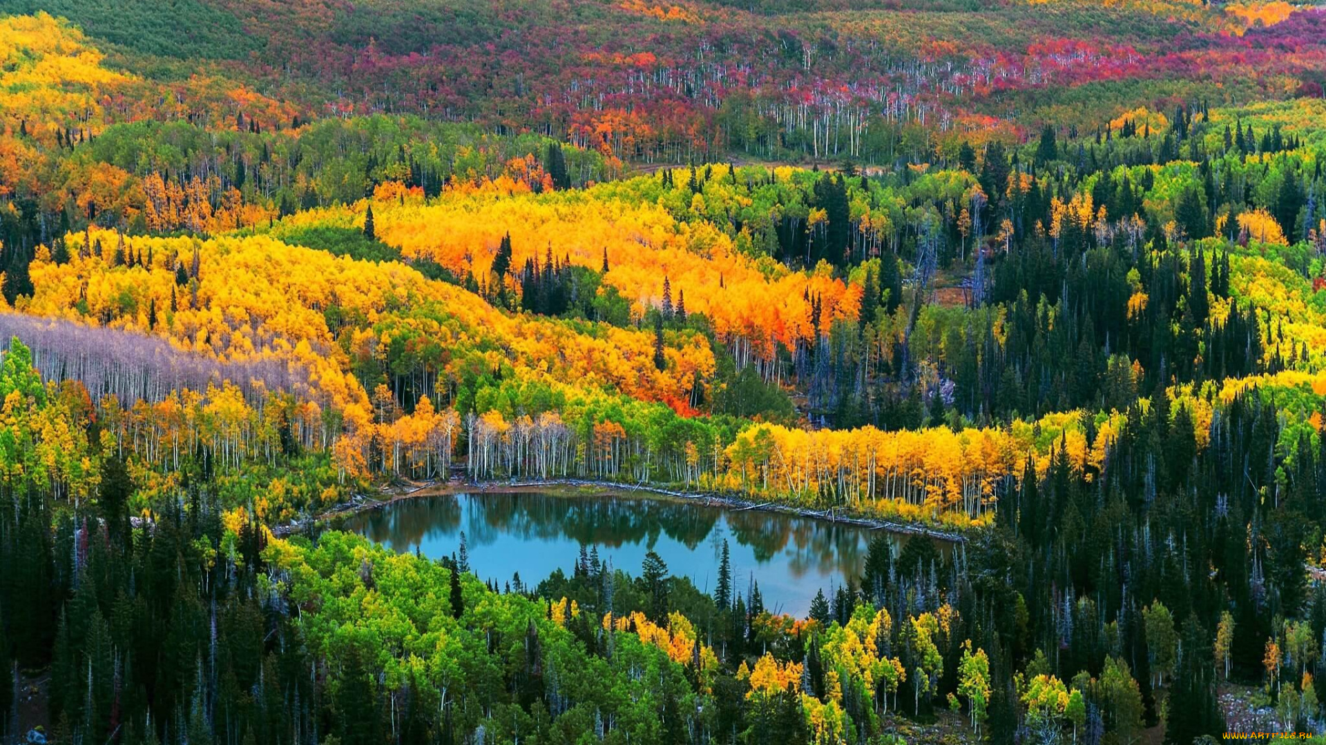 природа, реки, озера, озеро, осень, деревья, лес