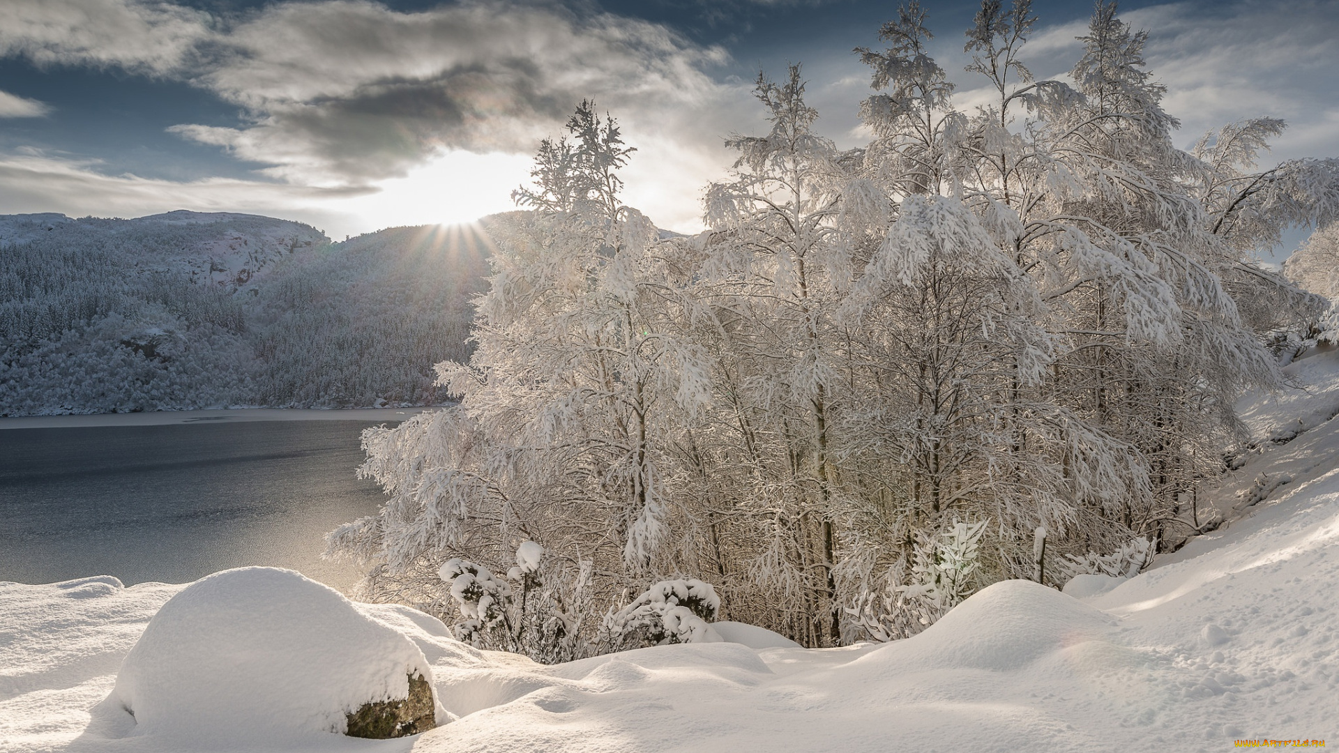 природа, зима, солнце, снег, пейзаж, snow, landscape, winter, nature