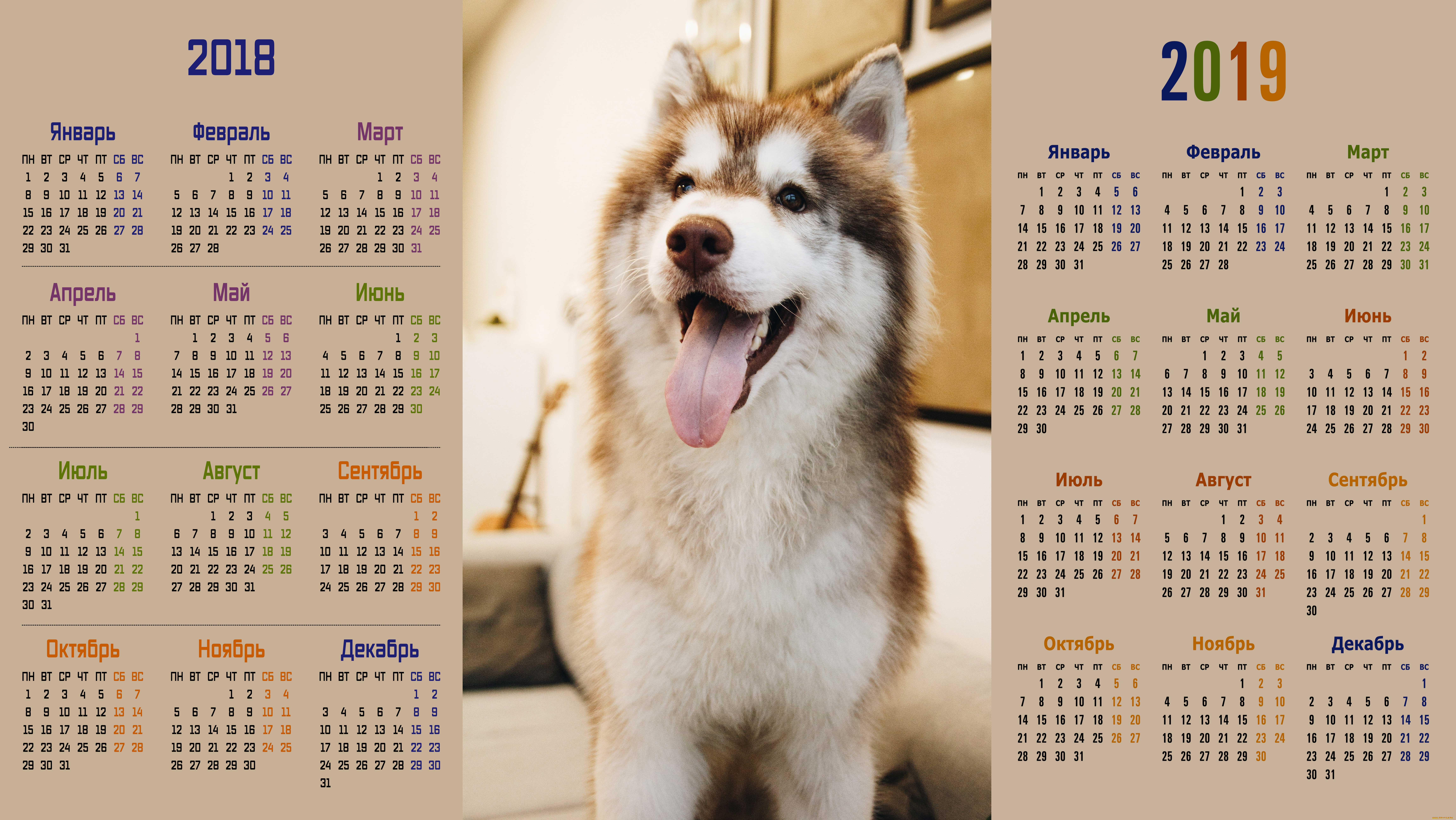 календари, животные, морда, собака, взгляд