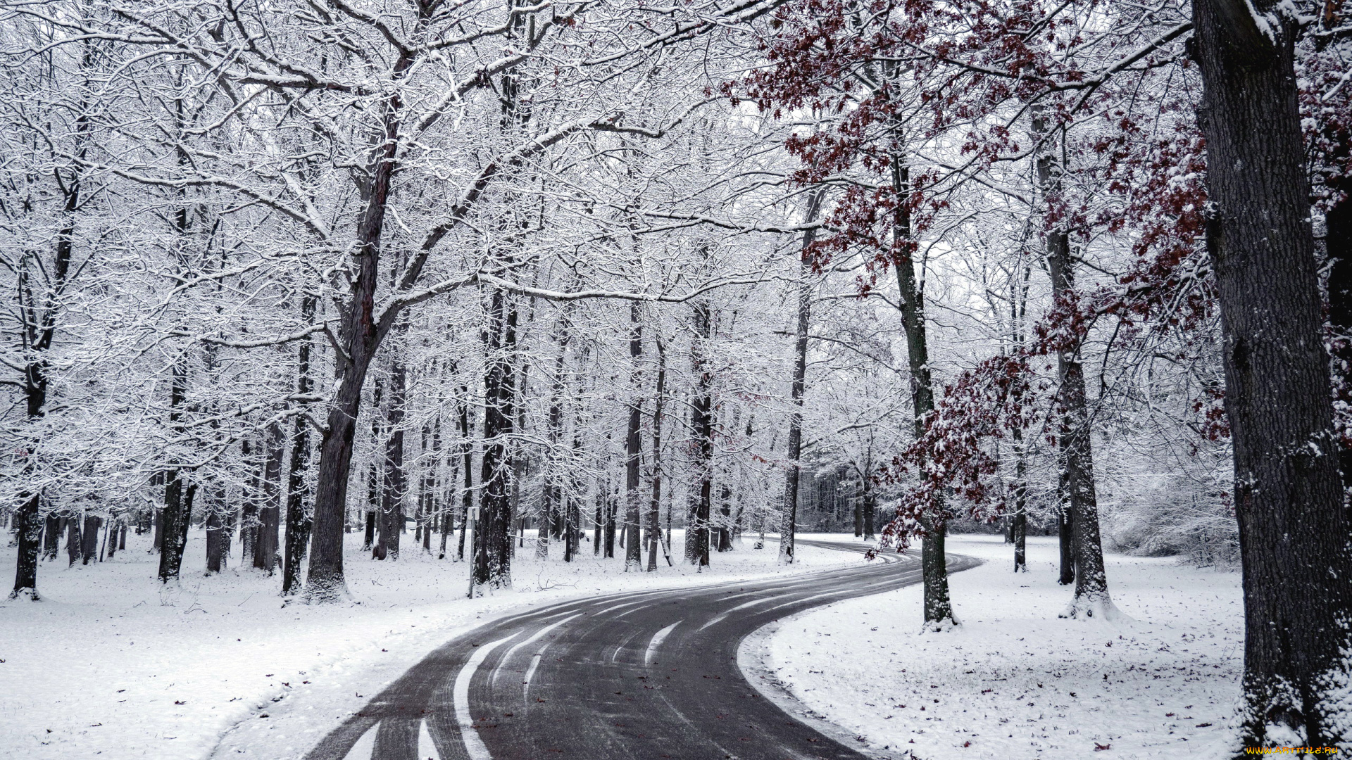 природа, дороги, зима, шоссе, снег