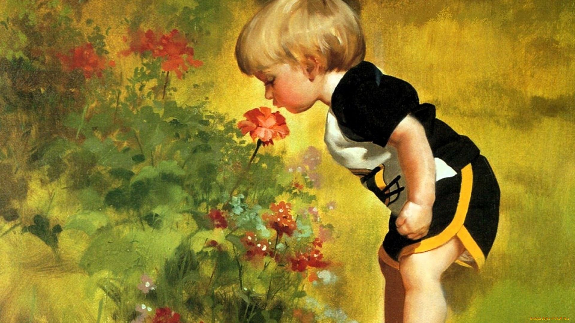 рисованное, donald, zolan, ребенок, мальчик, цветы