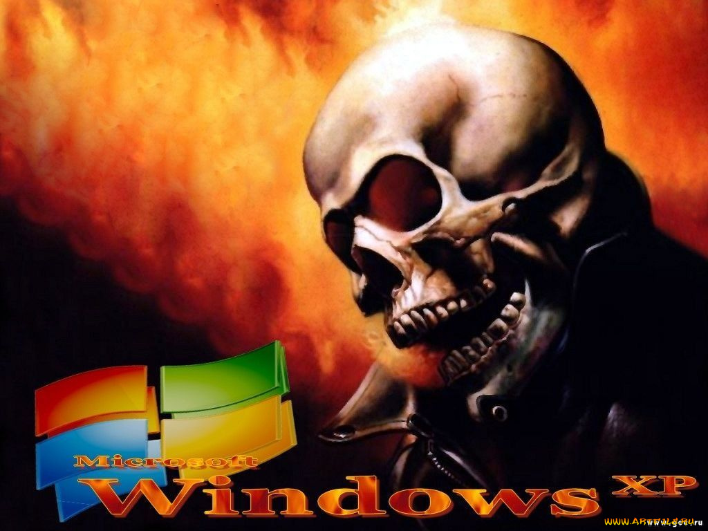 компьютеры, windows, xp