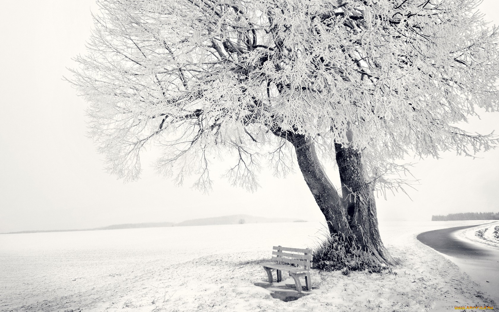 природа, зима, дерево, иней, скамейка