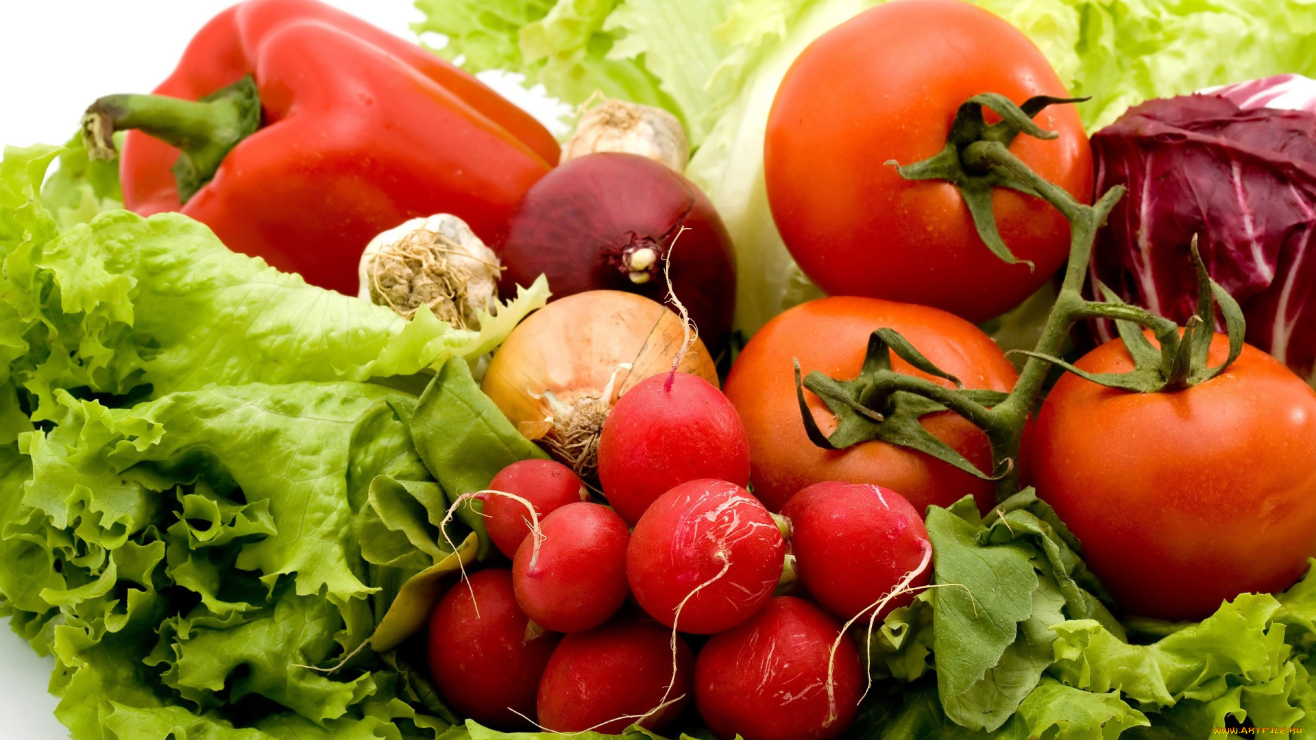еда, овощи, салат, лук, помидор, редис, перец, томаты
