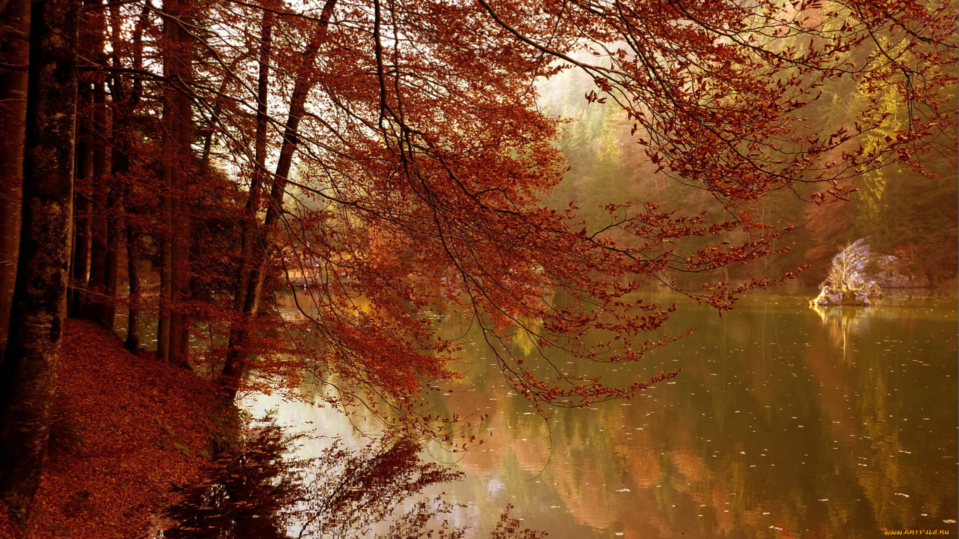 природа, реки, озера, осень, деревья, озеро