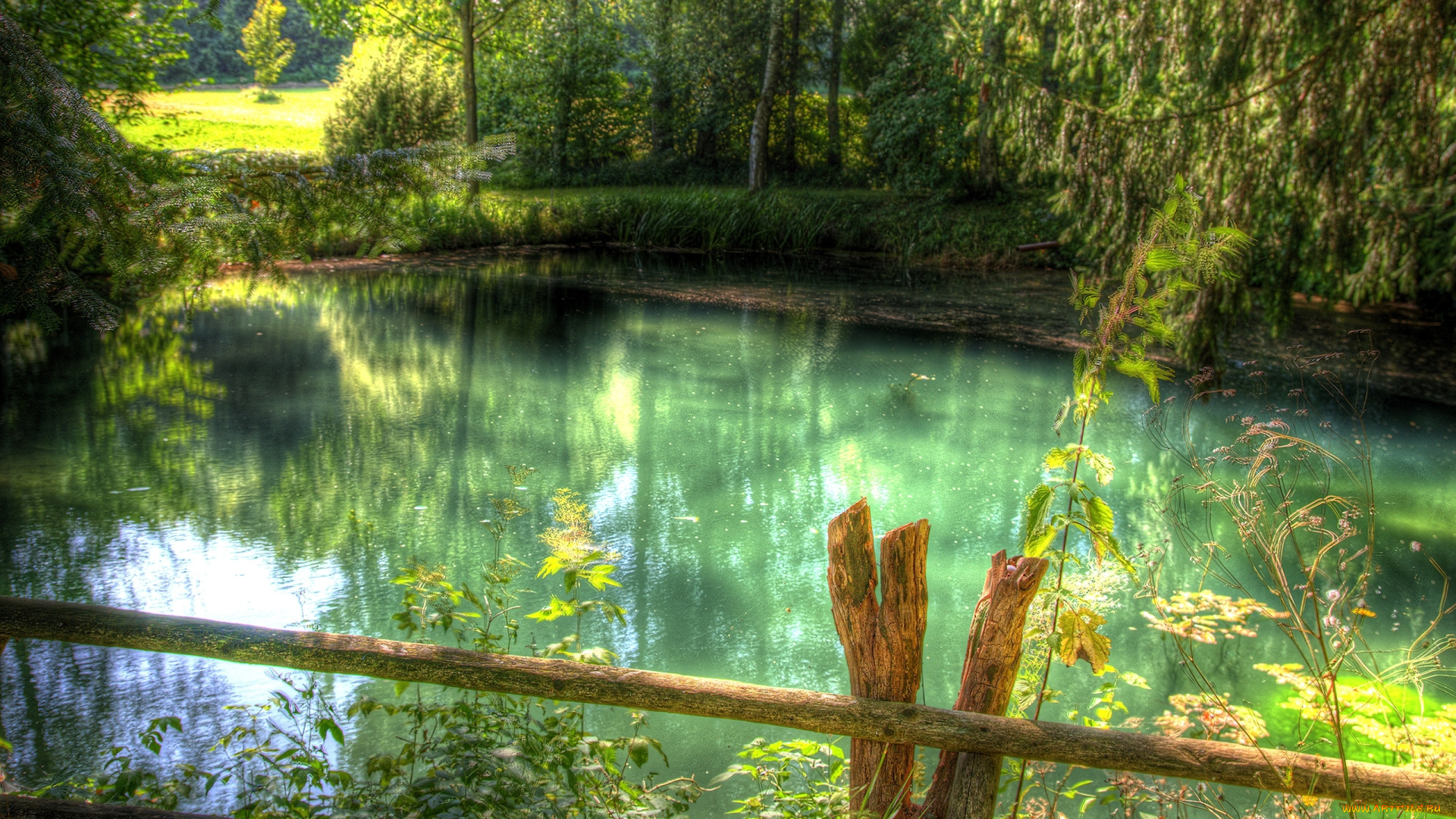 природа, вода, забор, зеленый, цвета, отражение, озеро
