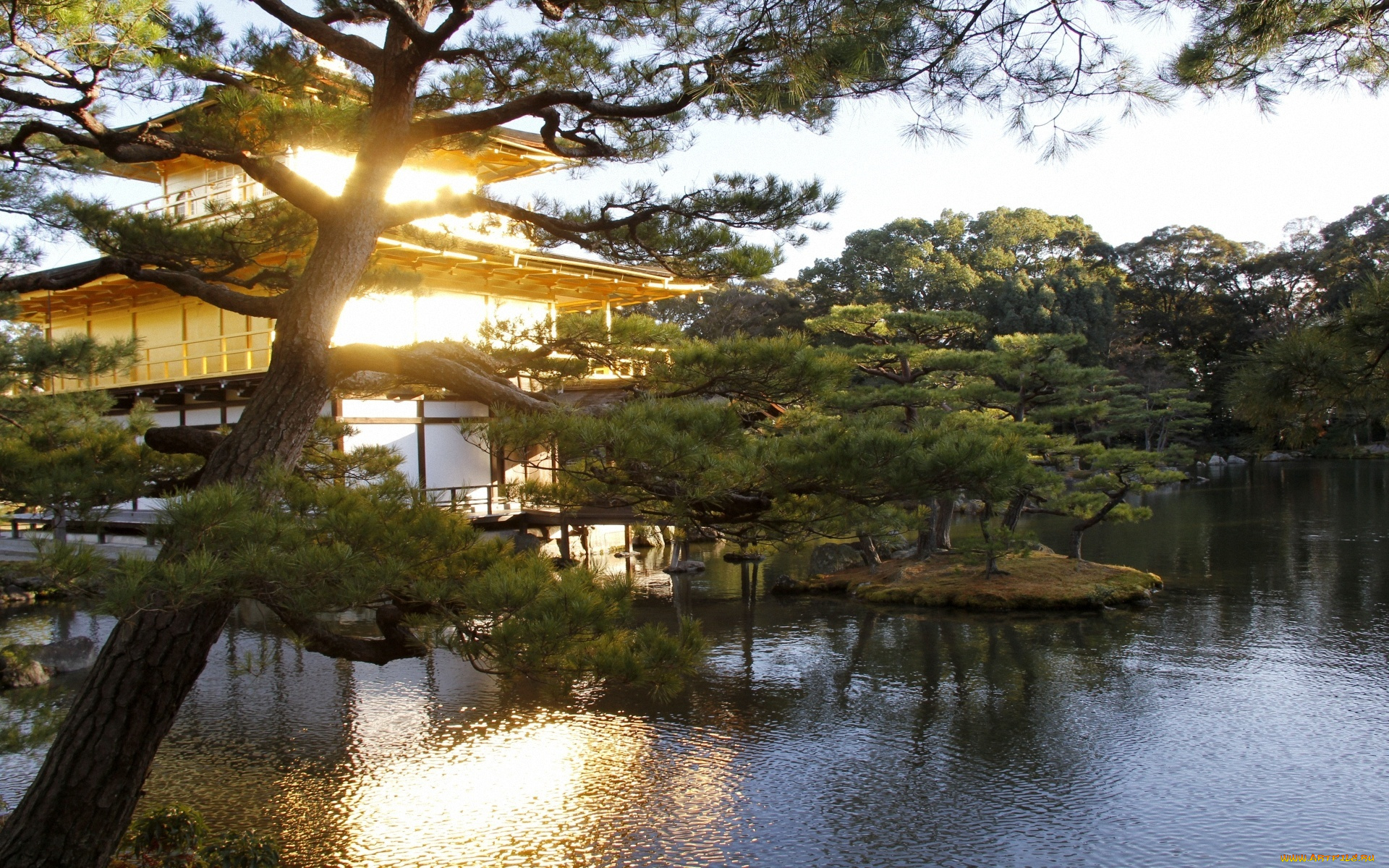 природа, парк, закат, японский, сад