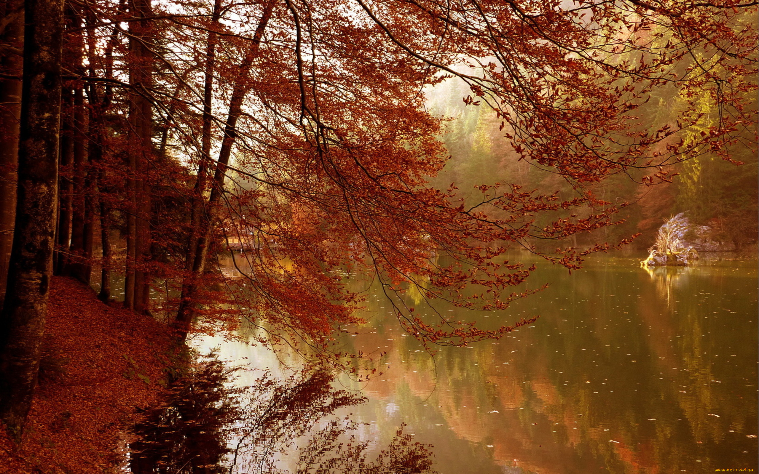 природа, реки, озера, осень, деревья, озеро
