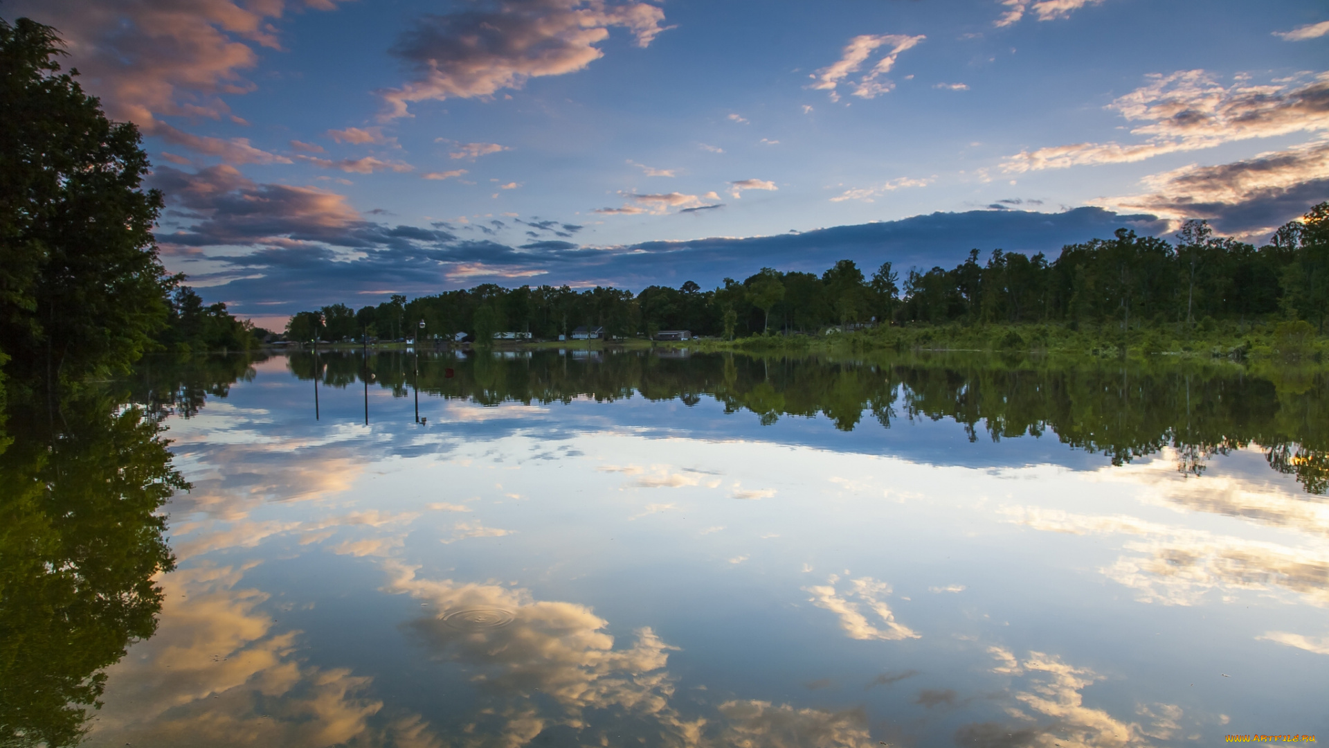 logan, martin, lake, alabama, природа, реки, озера, озеро, отражение