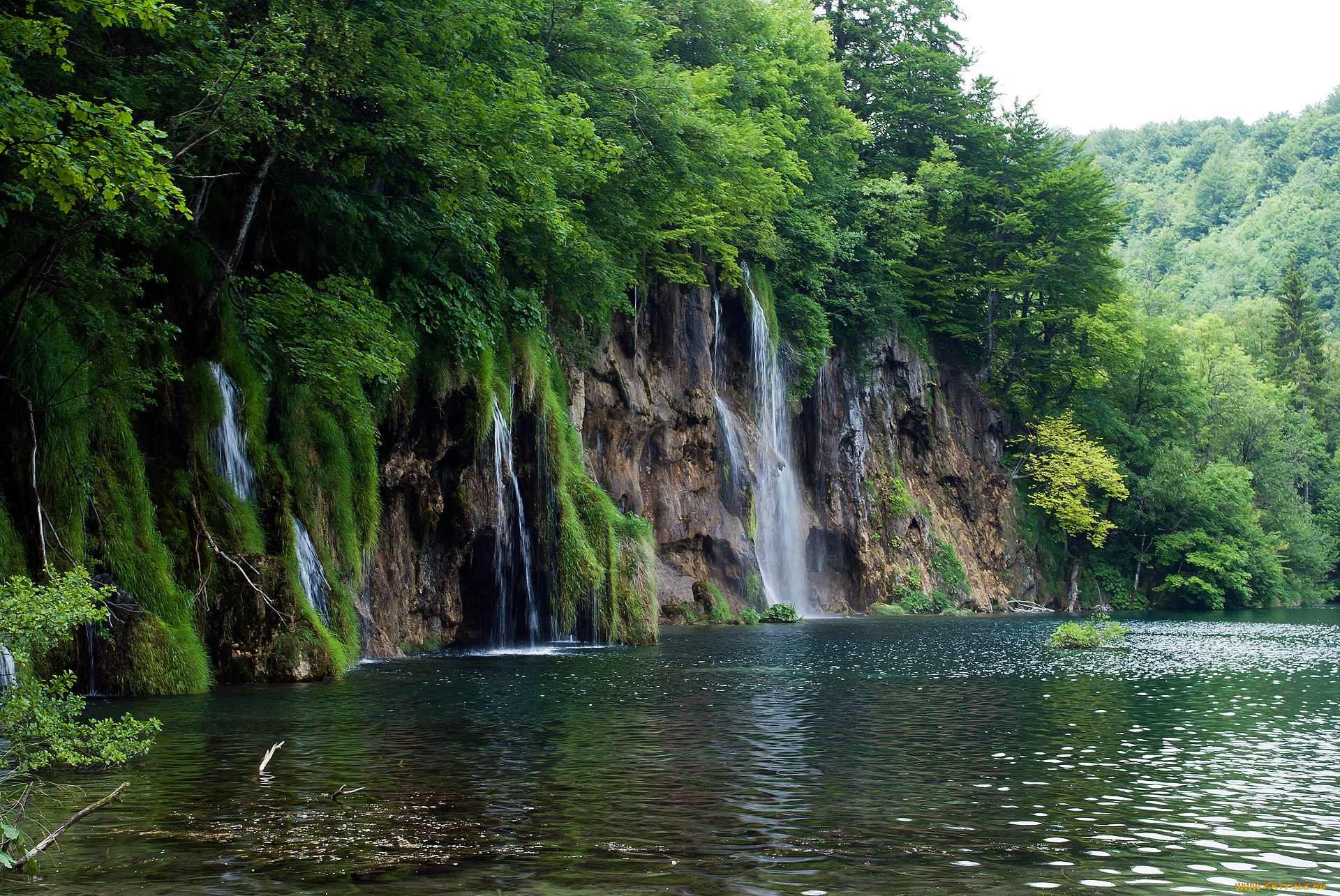 природа озеро скалы лес деревья вода загрузить