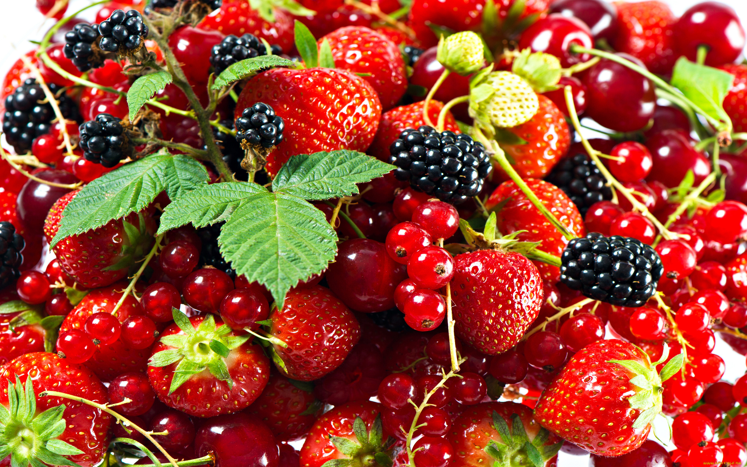 еда, фрукты, ягоды, клубника, ежевика, красная, смородина, витамины