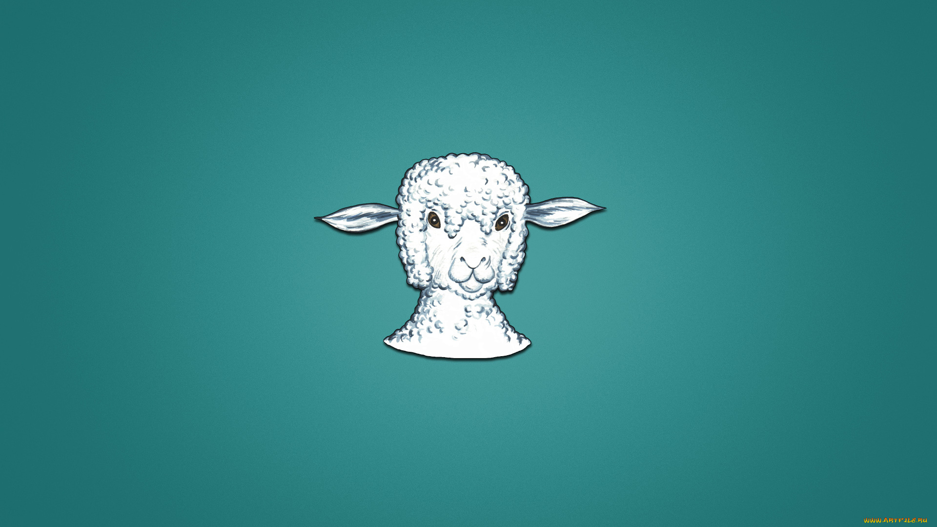 рисованные, минимализм, овца, барашек, животное, голова, синеватый, фон, sheep