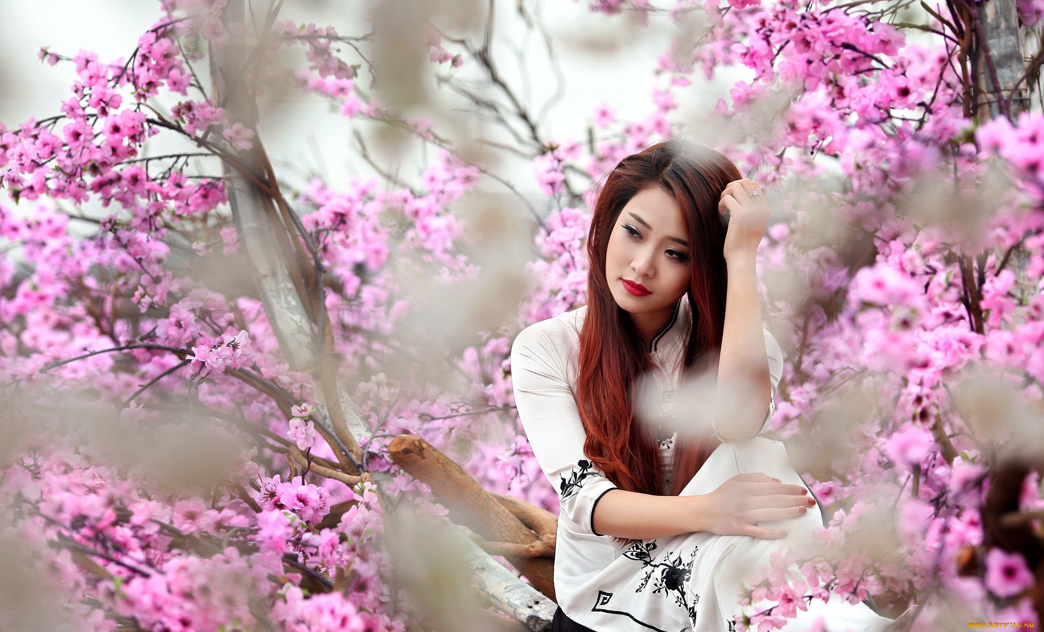 девушка азиатка зонтик дерево ствол бесплатно