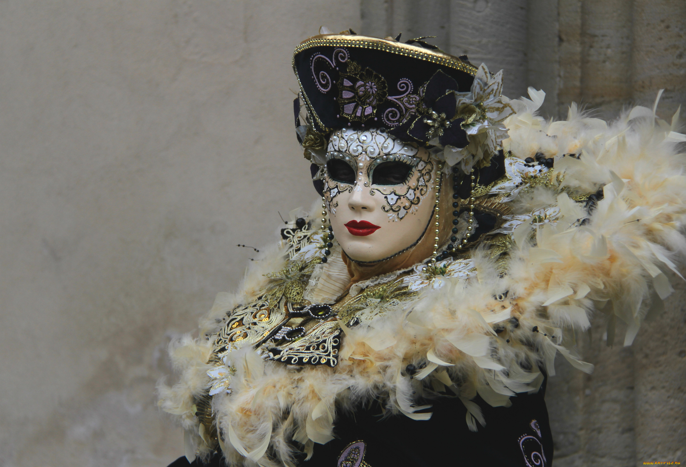 разное, маски, , карнавальные, костюмы, маска, карнавал, венеция, перья, костюм, воротник