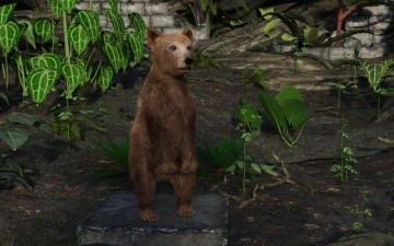 Картинка 3д+графика животные+ animals медвежонок фон