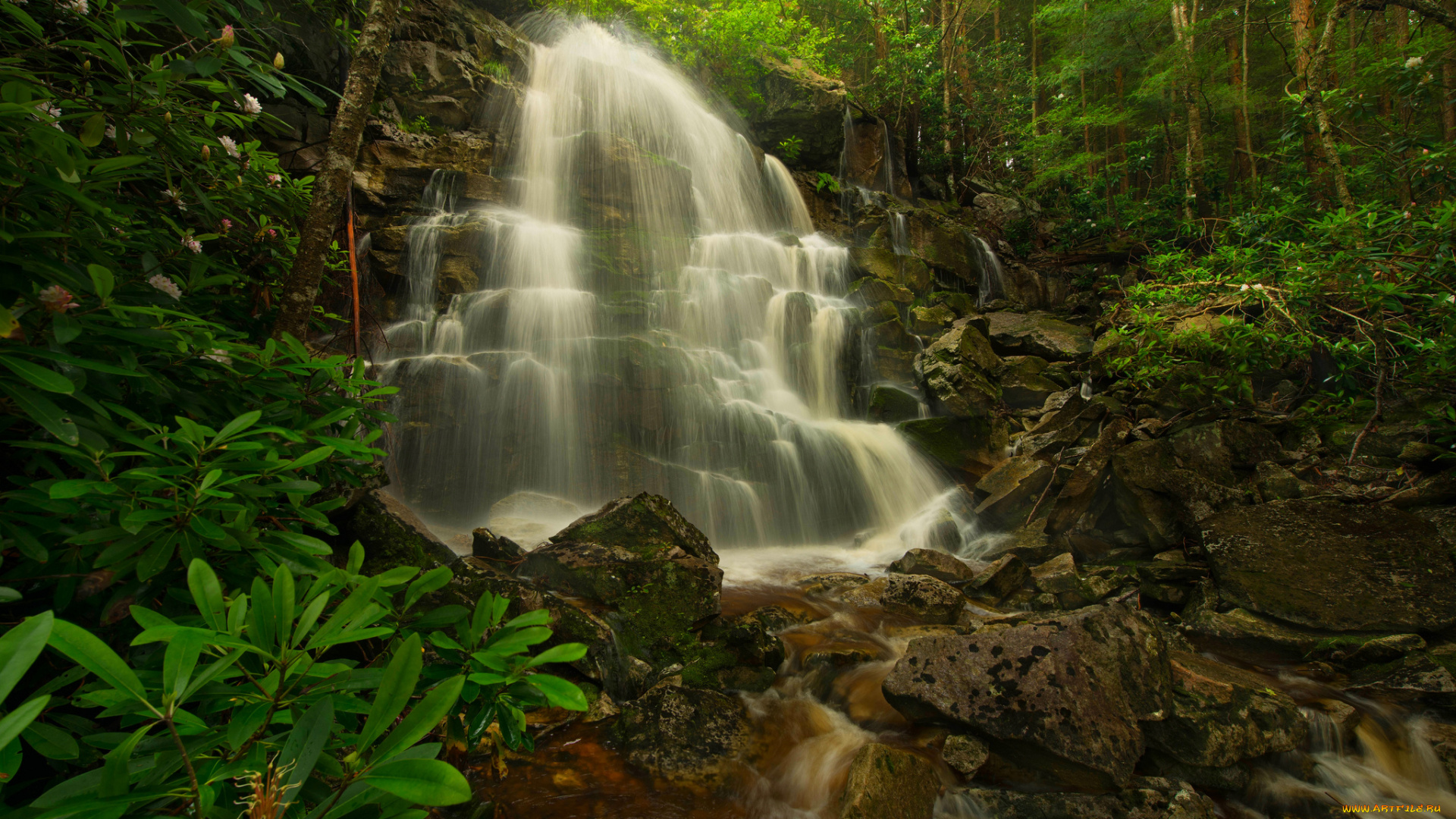 природа, водопады, водопад, река, лес