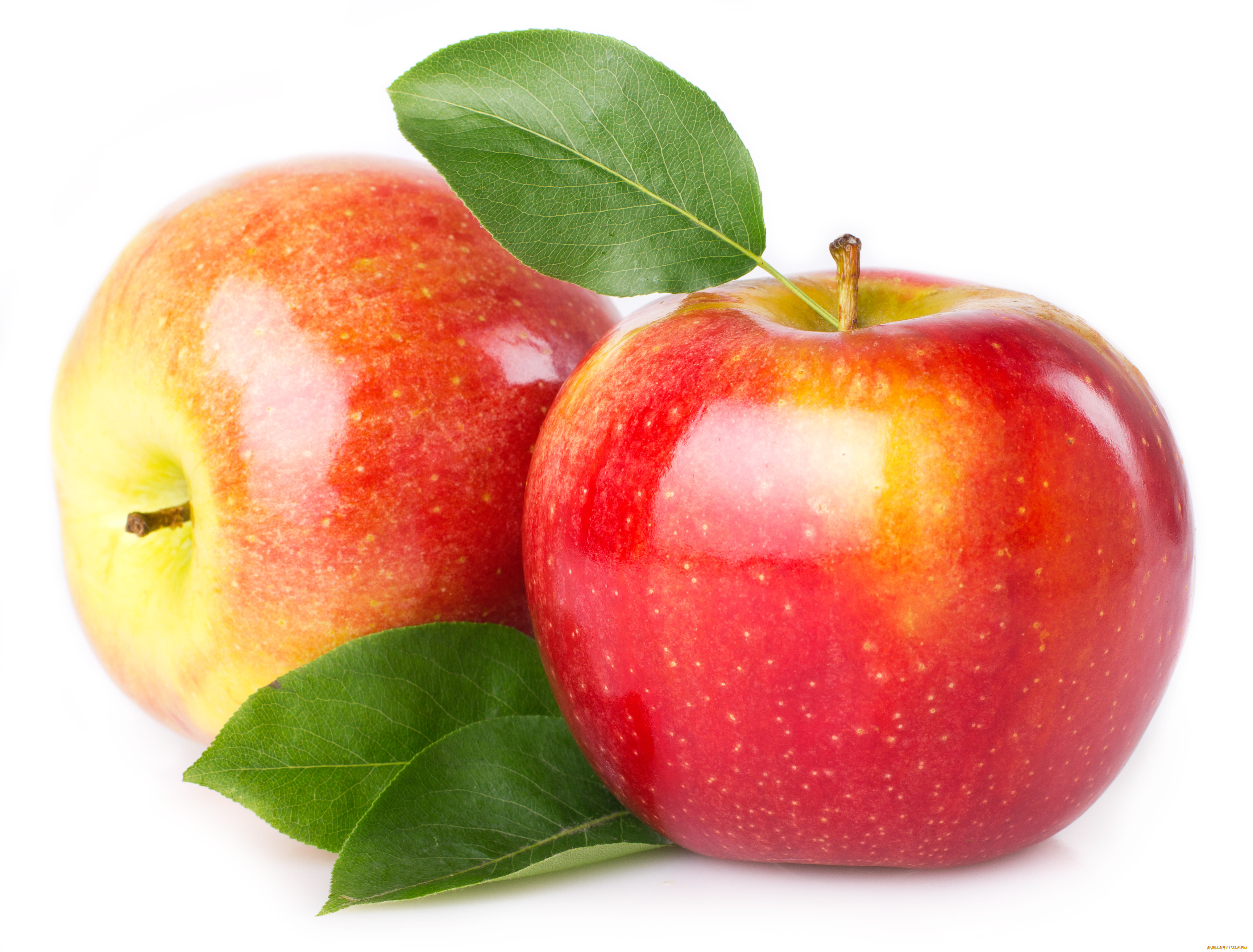 Яблоки, еда, плоды, фрукты