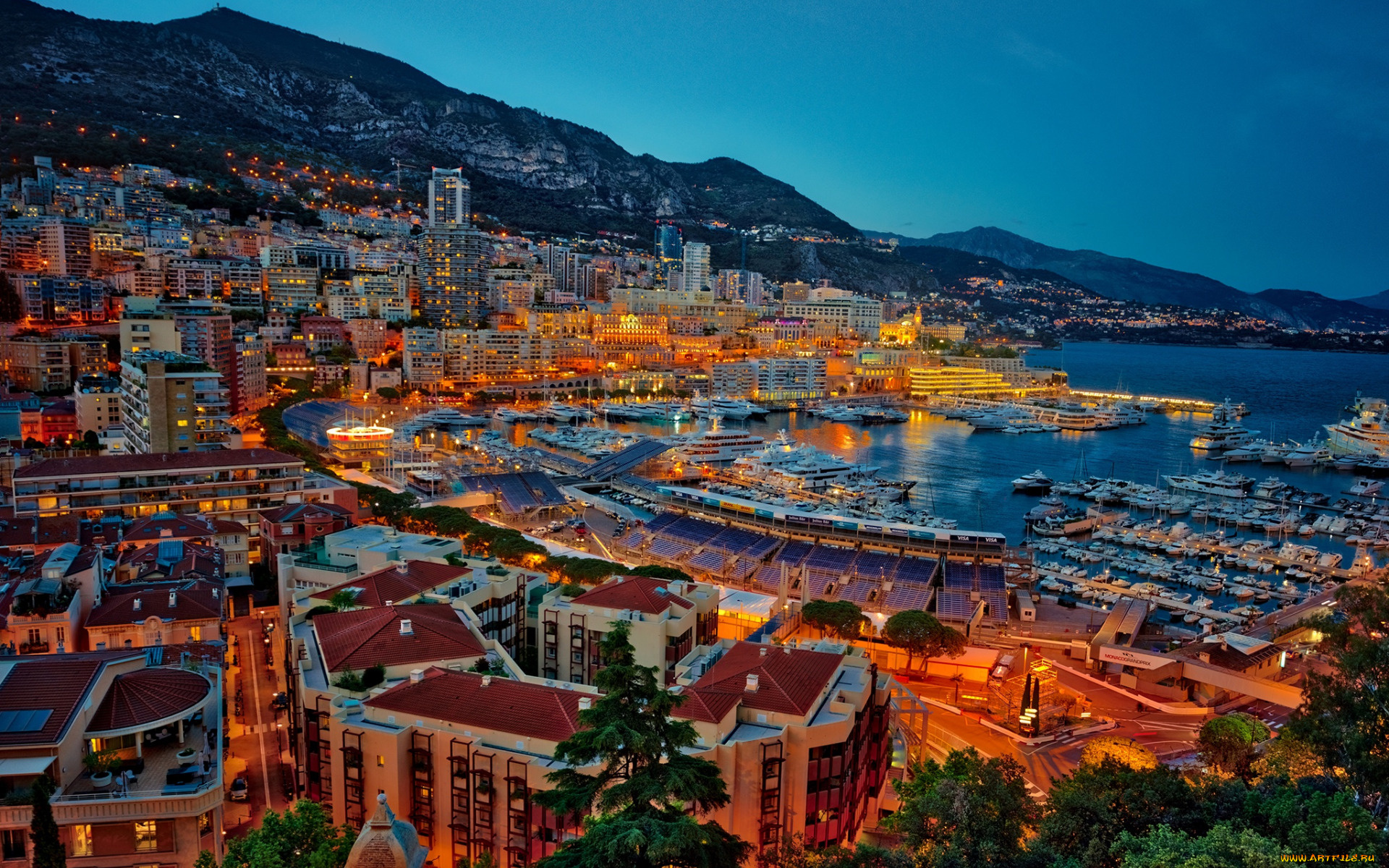 Dark markets monaco