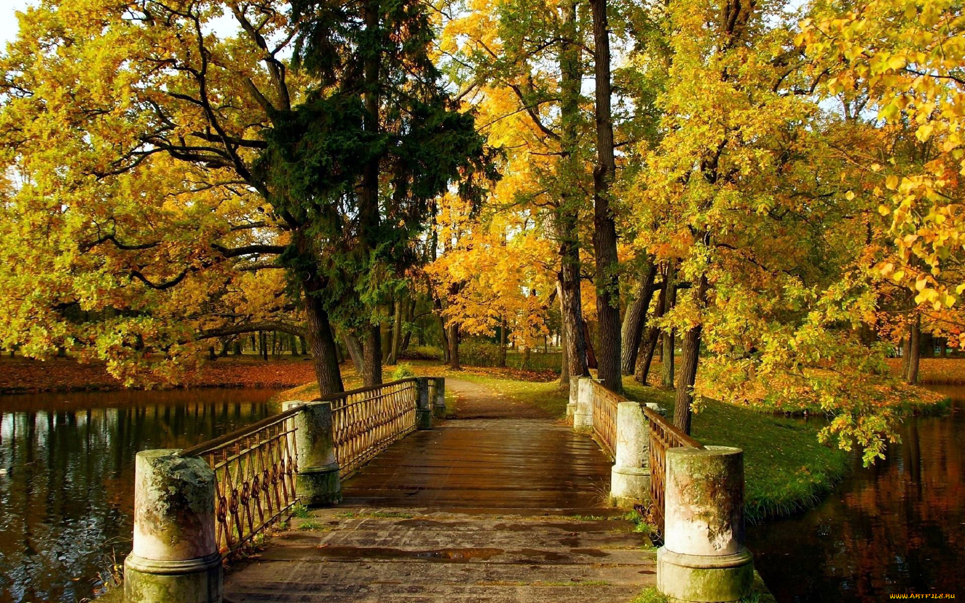 природа, парк, река, мост, осень