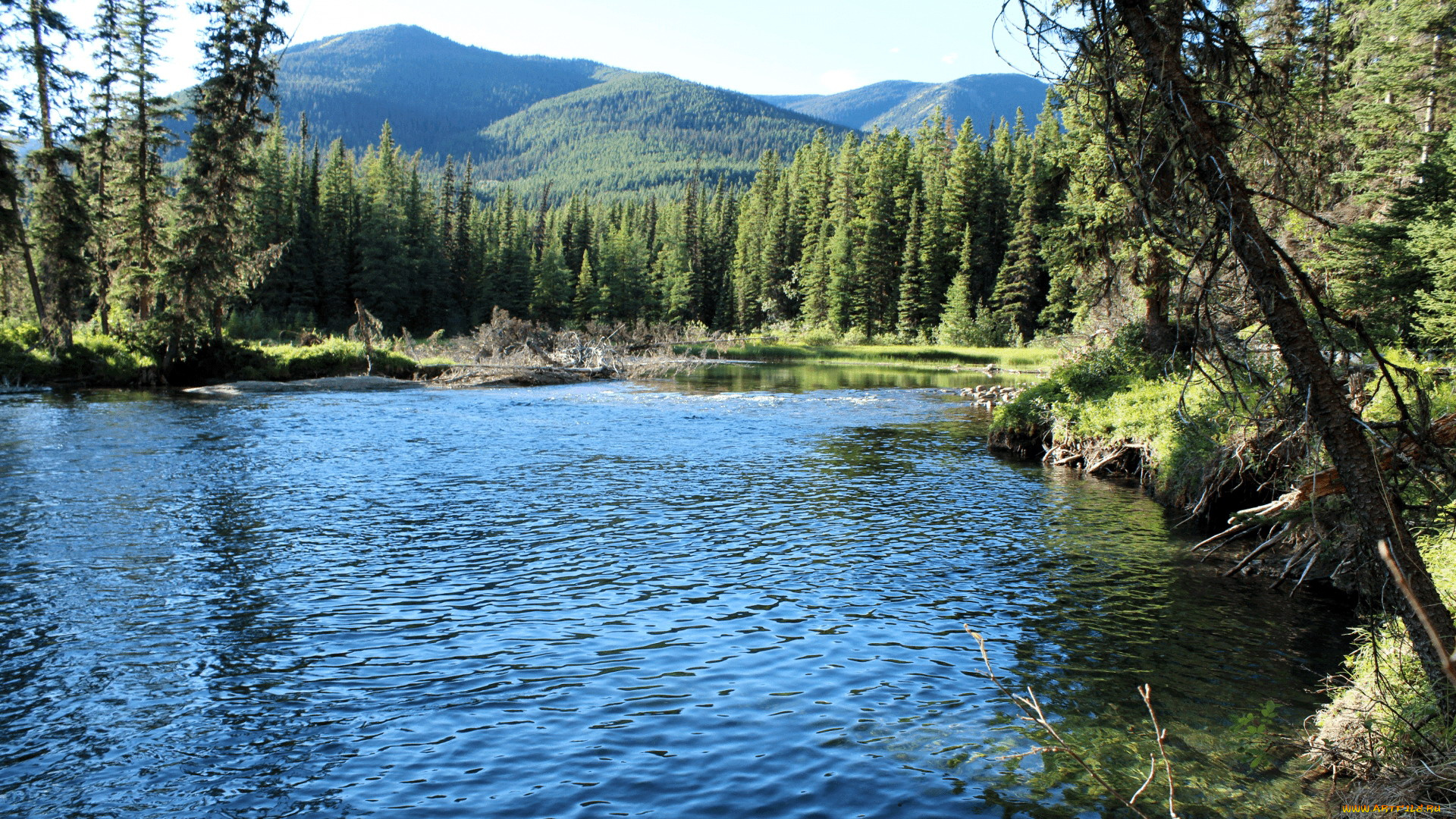 wapiti, river, british, columbia, природа, реки, озера, wapiti, river, british, columbia