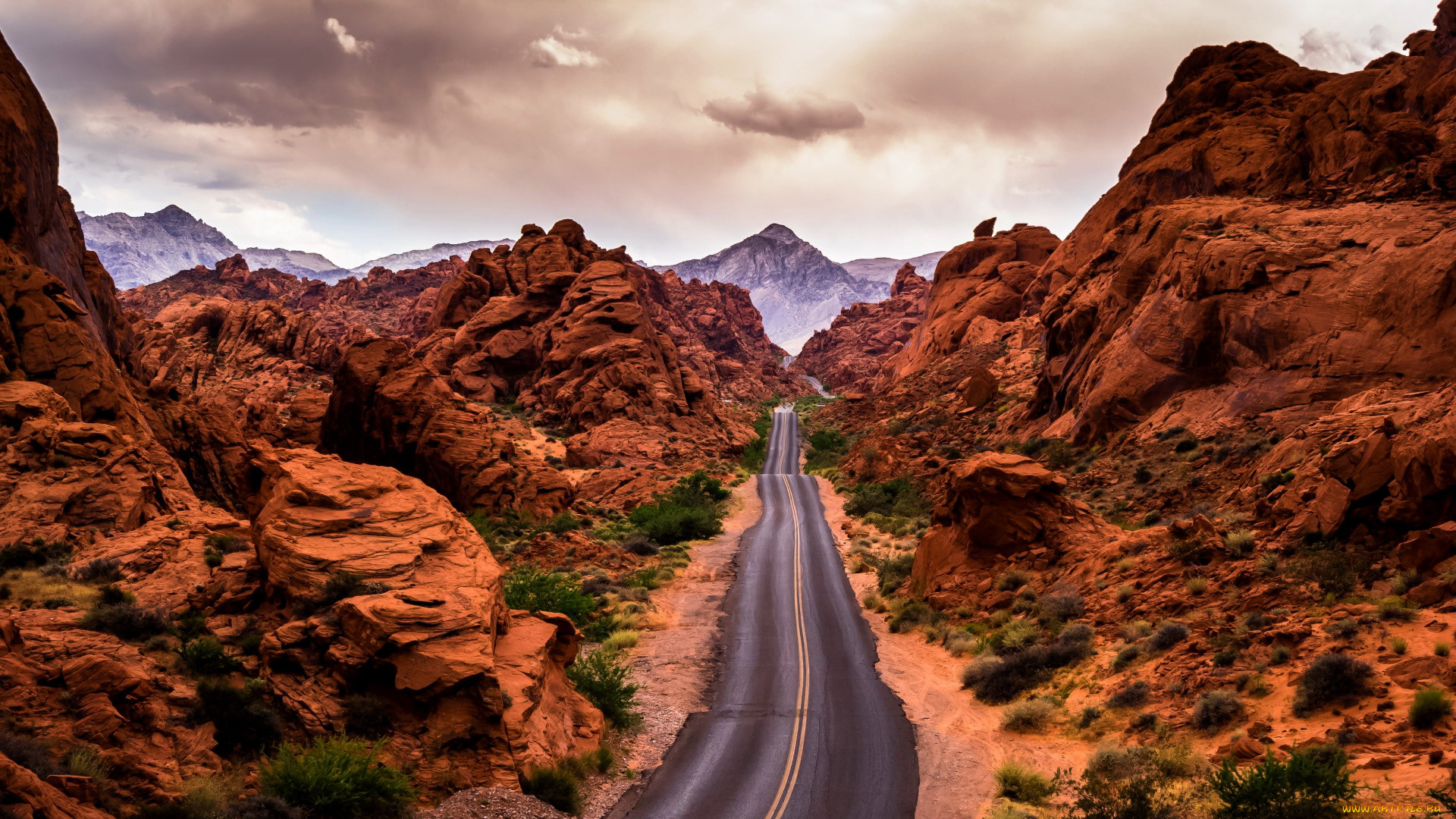 road, through, the, valley, of, fire, nevada, природа, дороги, road, through, the, valley, of, fire