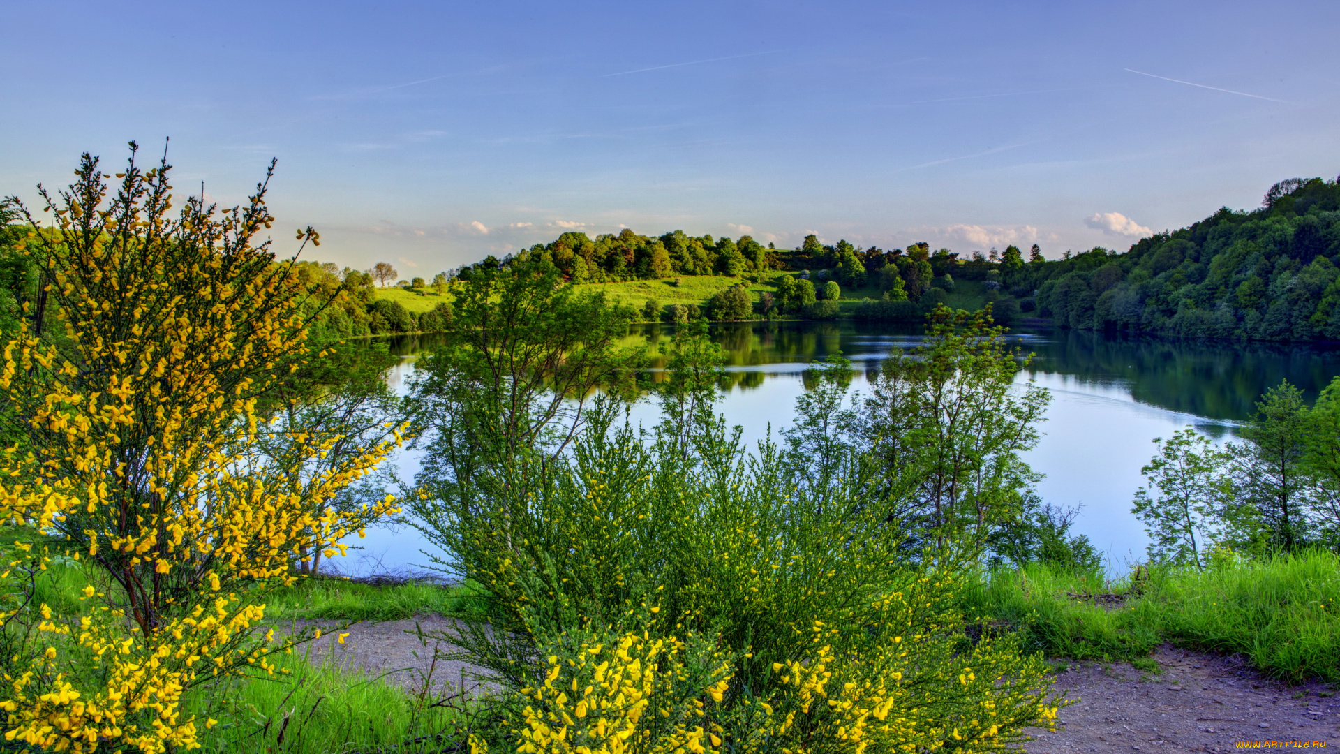 германия, эльшайд, природа, реки, озера, река, лес, кусты