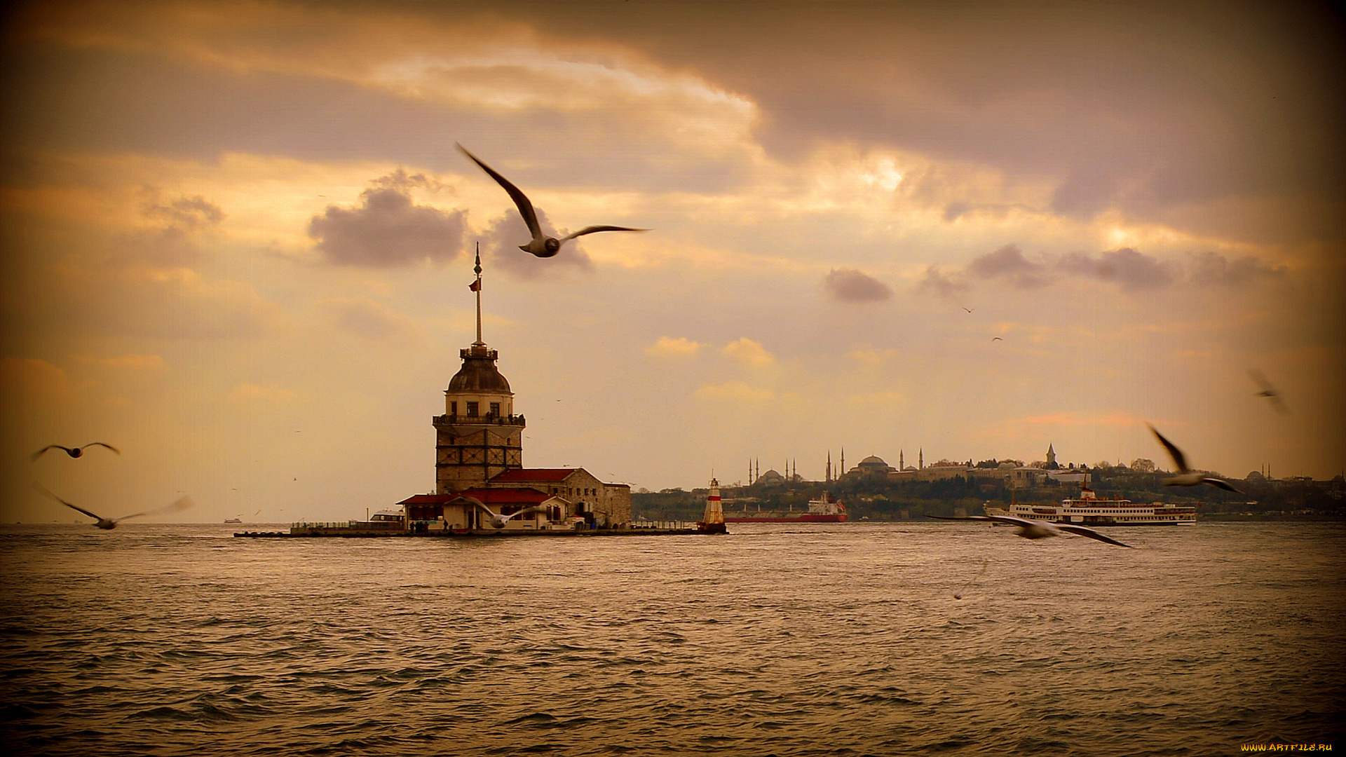 города, стамбул, турция, istanbul, море, чайки, закат, пейзаж