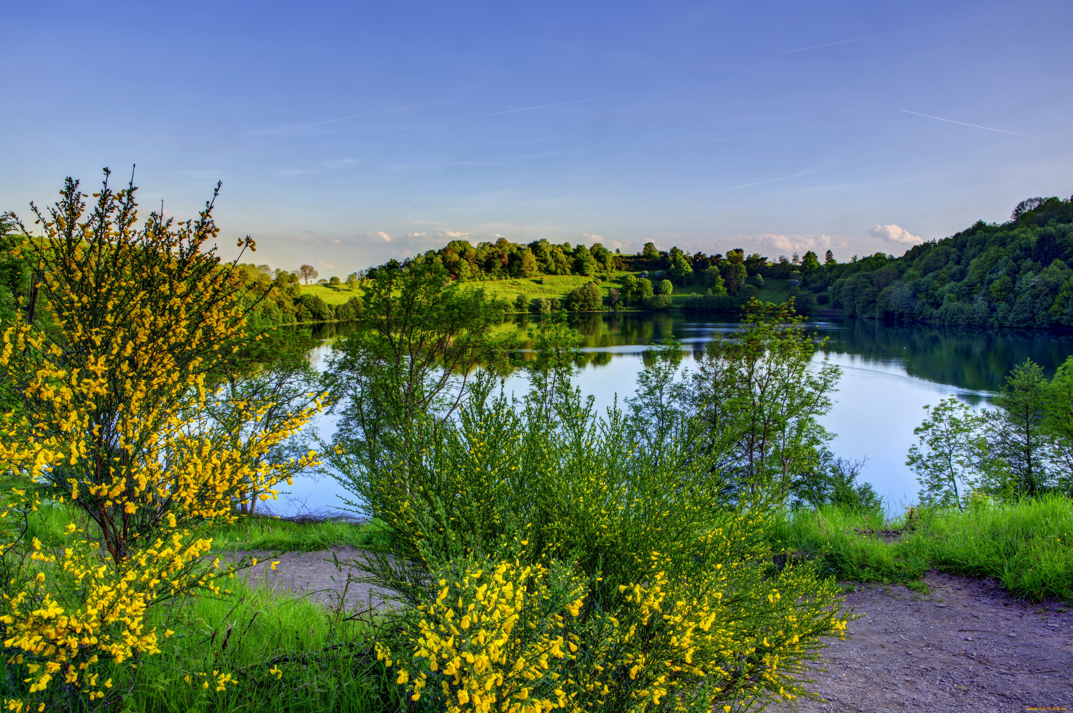 германия, эльшайд, природа, реки, озера, река, лес, кусты