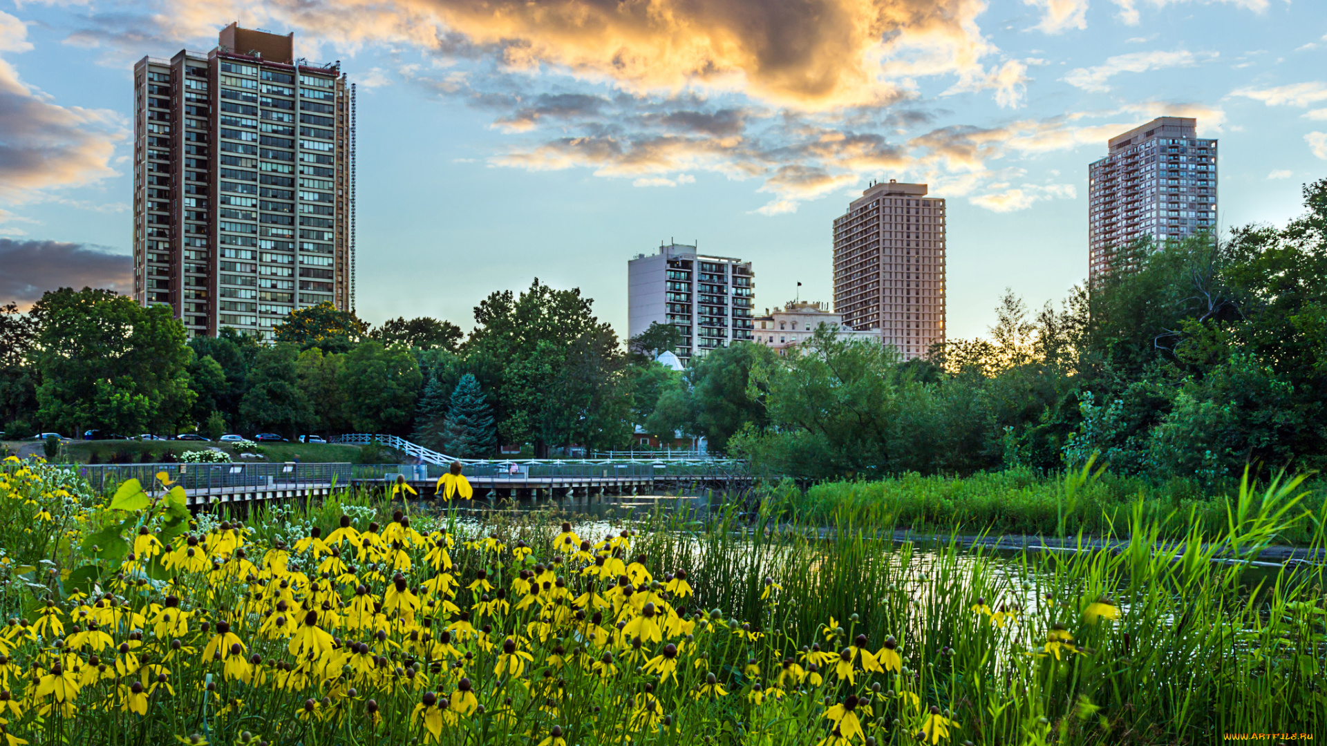 lincoln, park, города, Чикаго, , сша, парк, здания, цветы