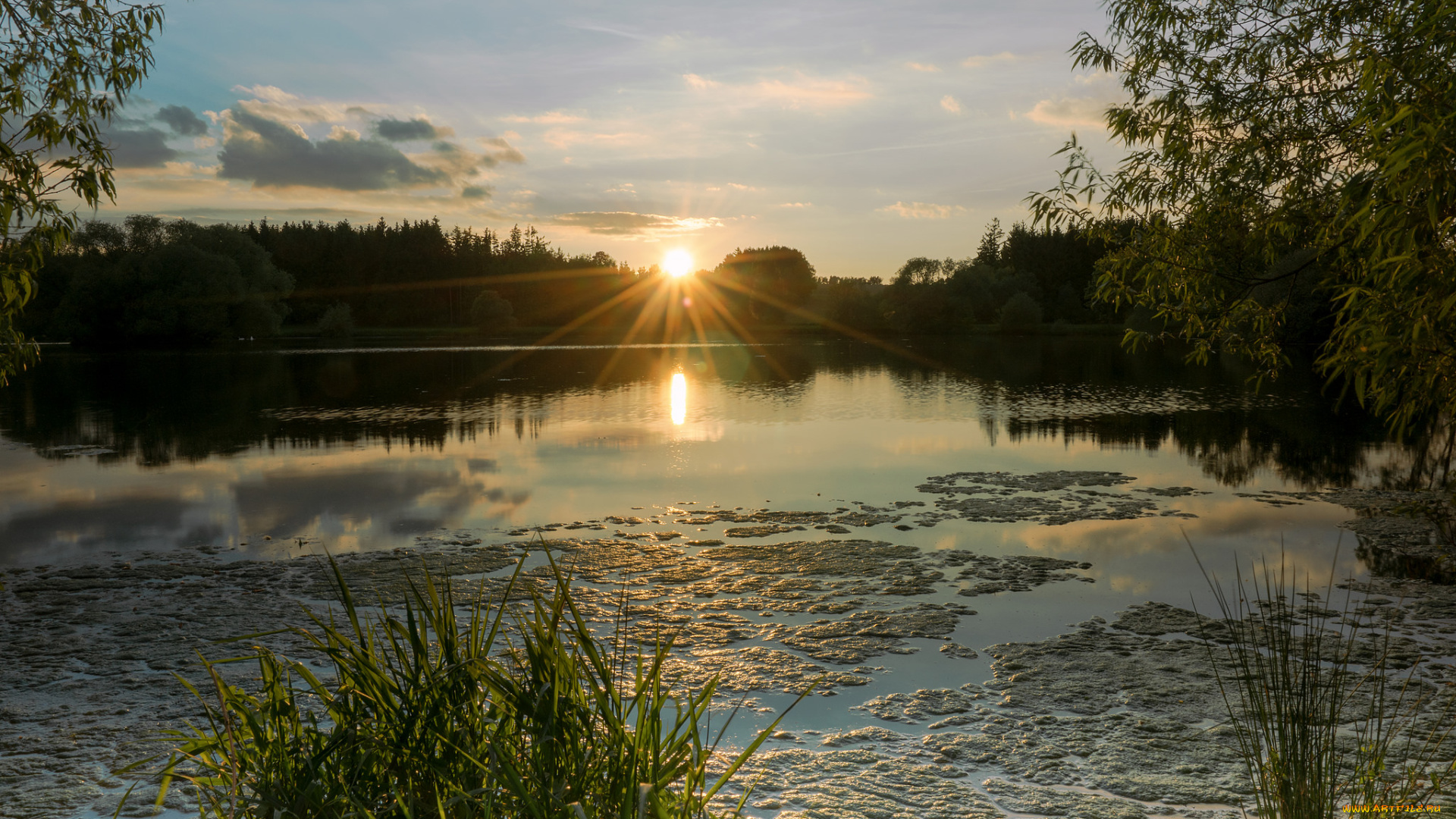 природа, реки, озера, река, лес