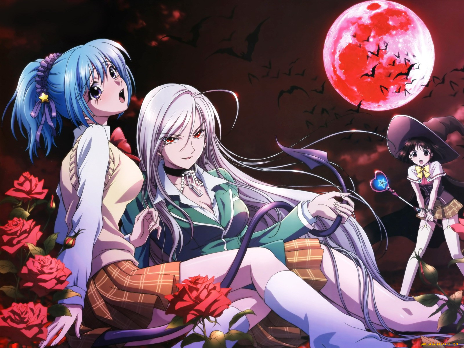 аниме, rosario, vampire