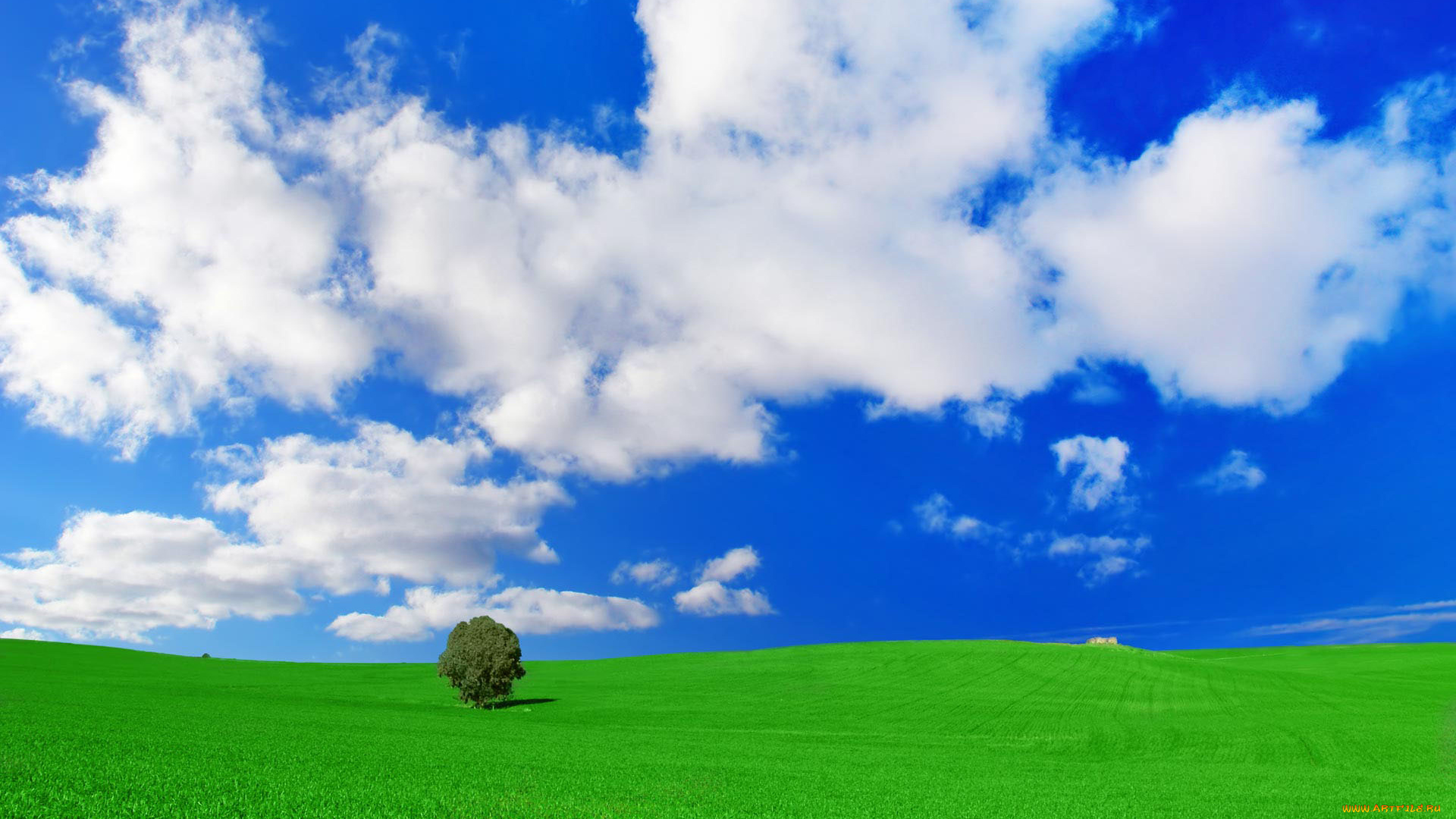 природа, поля, облака, поле, дерево