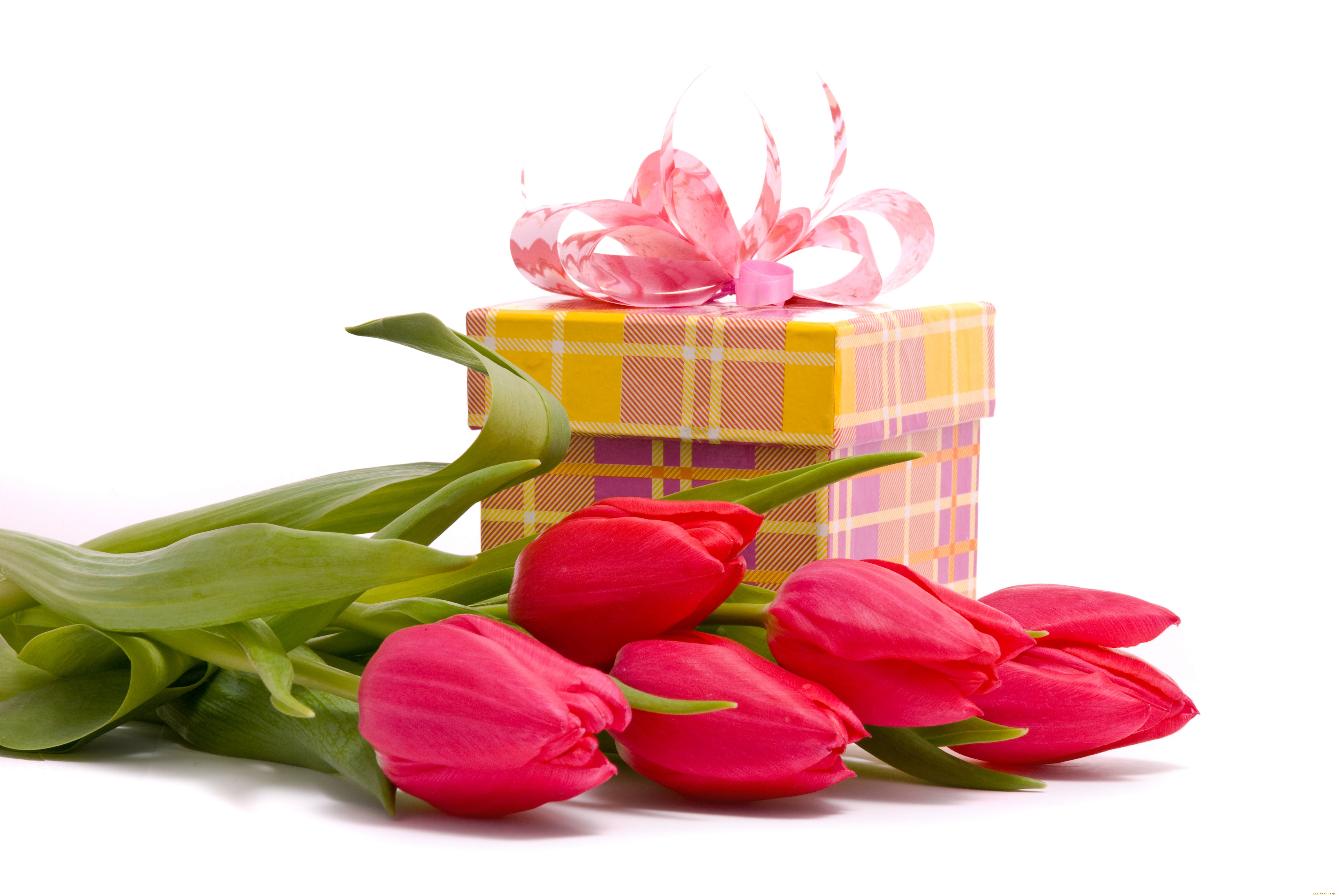 цветы, тюльпаны, подарок, коробка
