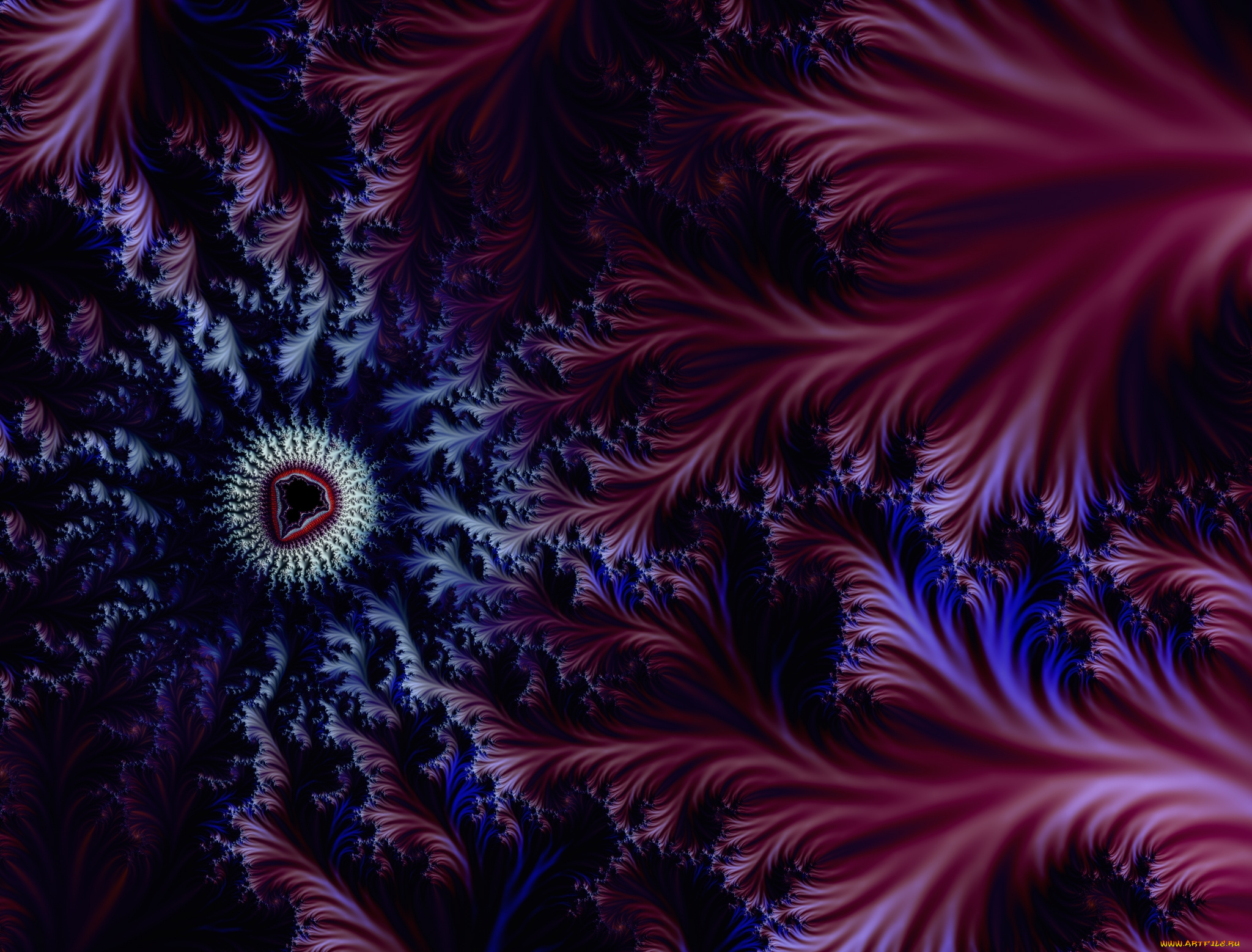 3д, графика, fractal, фракталы, фон, узор, цвета