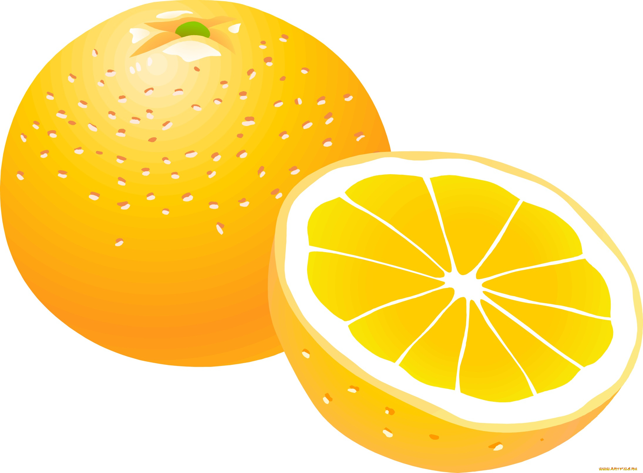 векторная, графика, еда, фон, апельсины