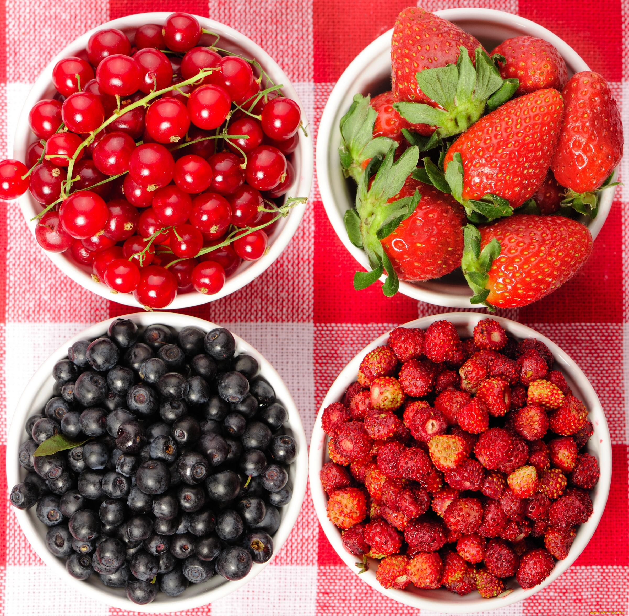 еда, фрукты, , ягоды, красная, смородина, клубника, голубика, земляника, ягоды