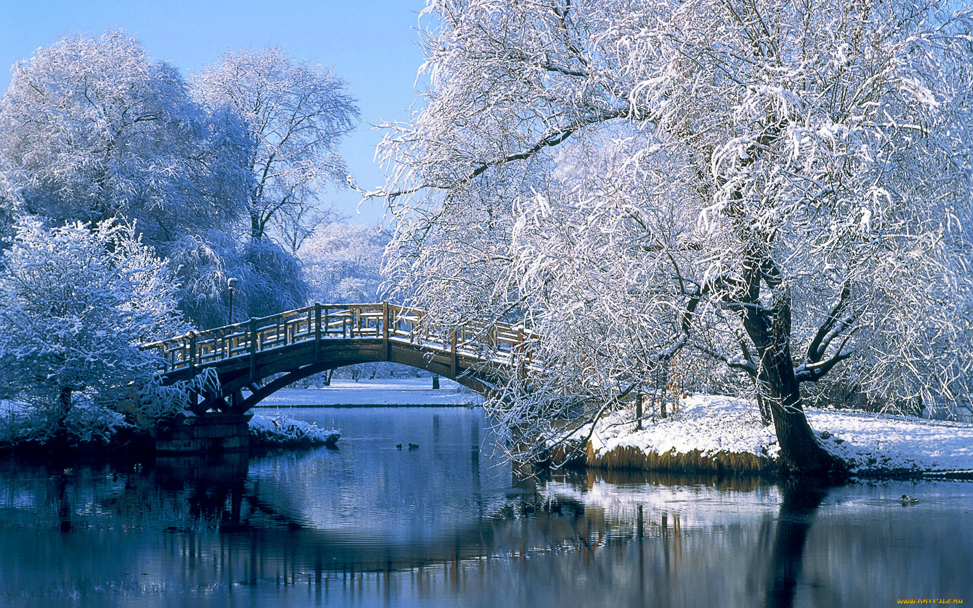 природа, парк, мост, снег, деревья, озеро, зима