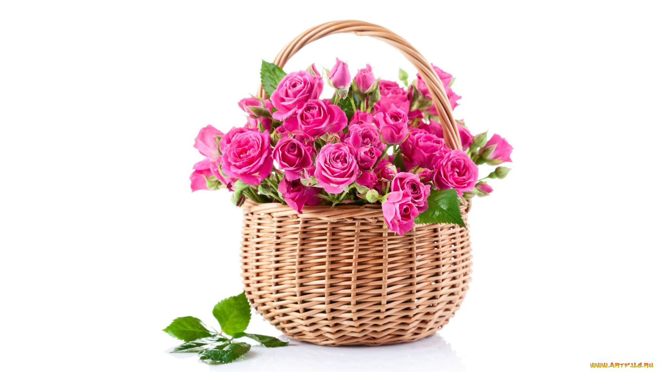 Розовые розы в корзине